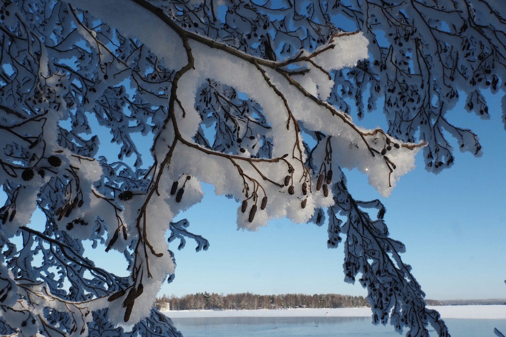 Valokuvaaja: Mikkola Irma
