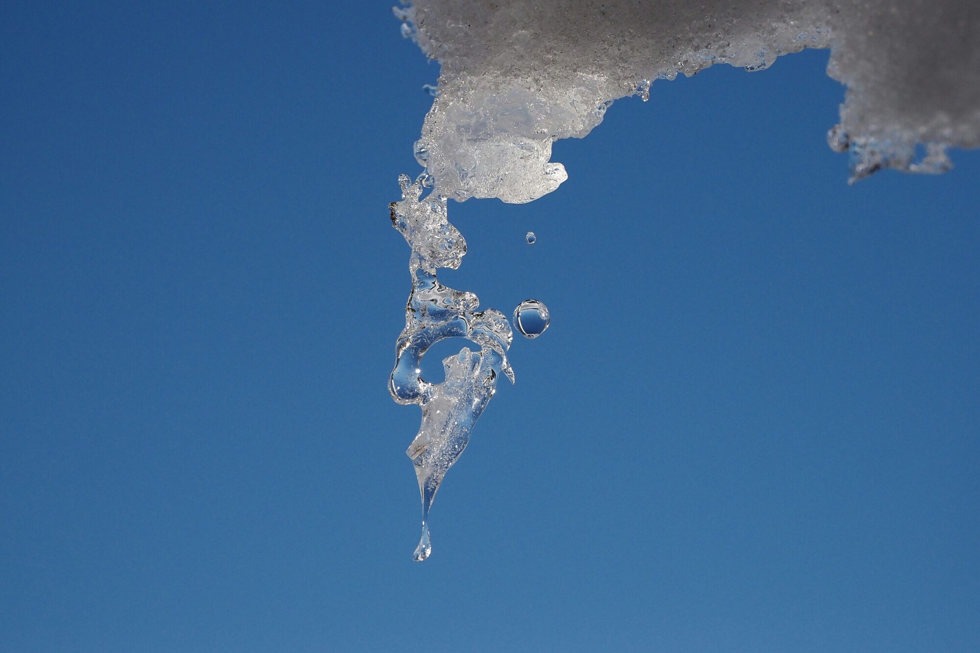 Valokuvaaja: Mikkola Irma