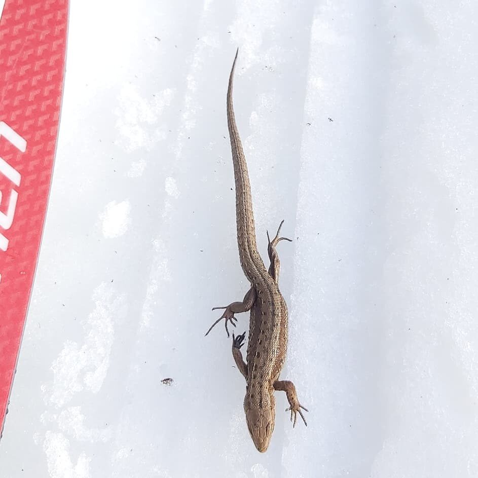 Valokuvaaja: Reeta Jokela