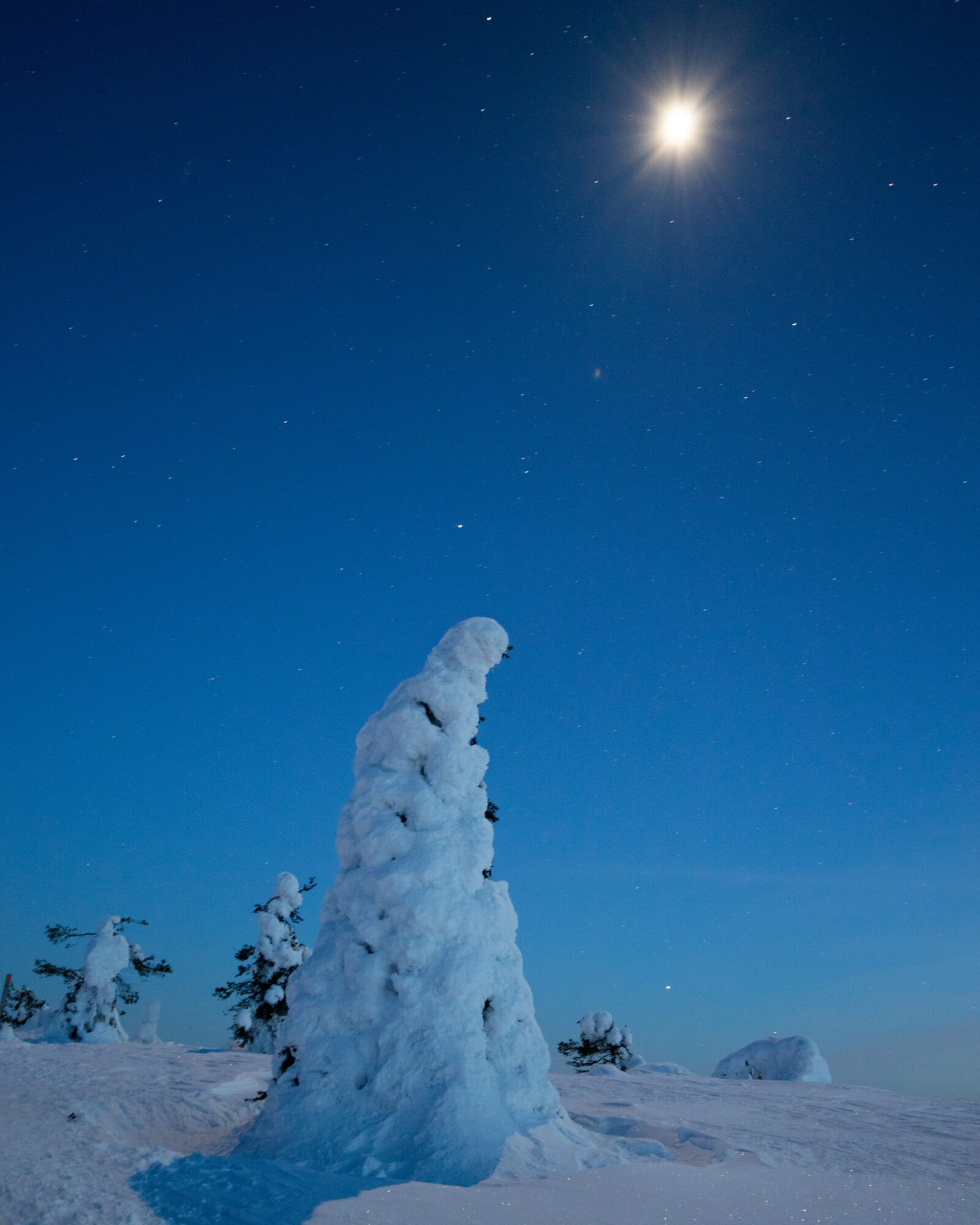 Valokuvaaja: Anne Keskivinkka Valokuvaaja: Anne Keskivinkka