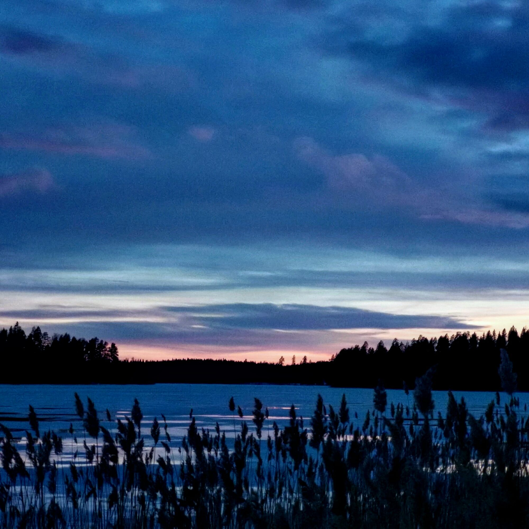 Valokuvaaja: Tapio Keinonen