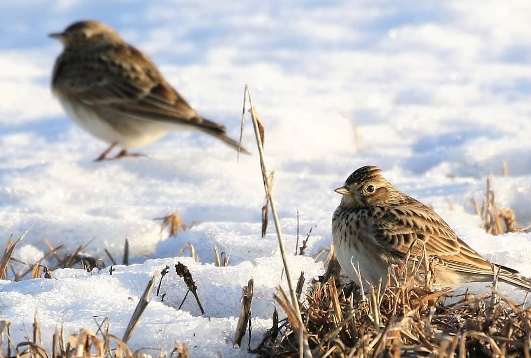 Valokuvaaja: Anne Keskivinkka Valokuvaaja: Anne Keskivinkka