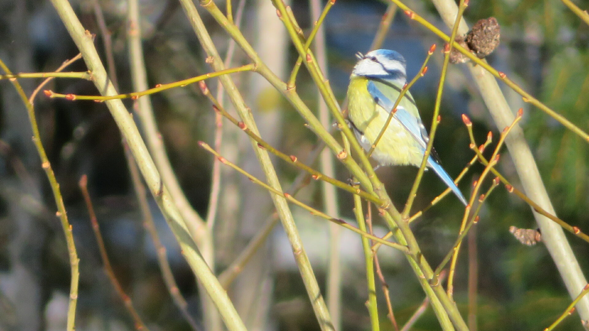 Valokuvaaja: Risto Kangassalo