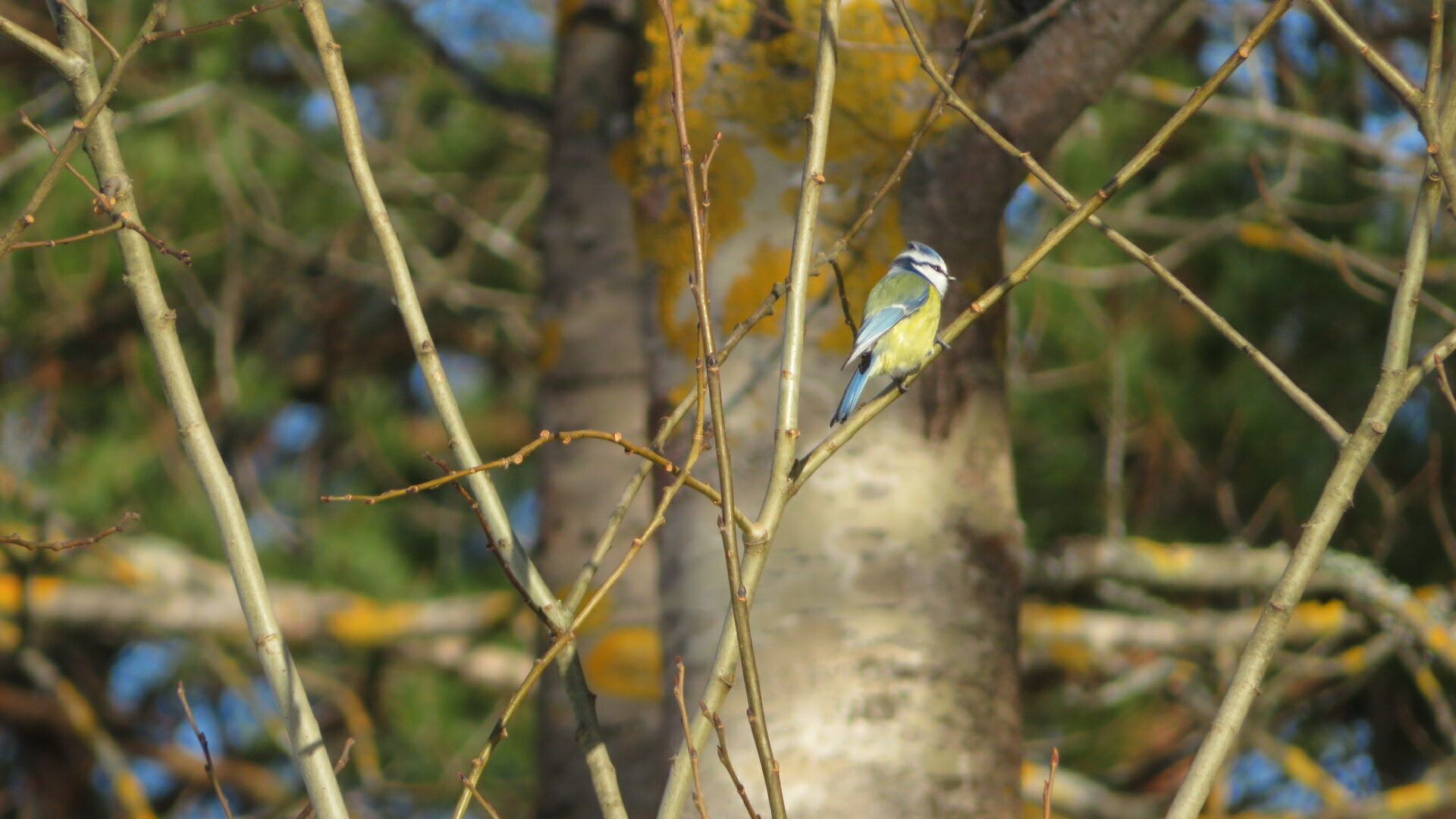 Valokuvaaja: Risto Kangassalo