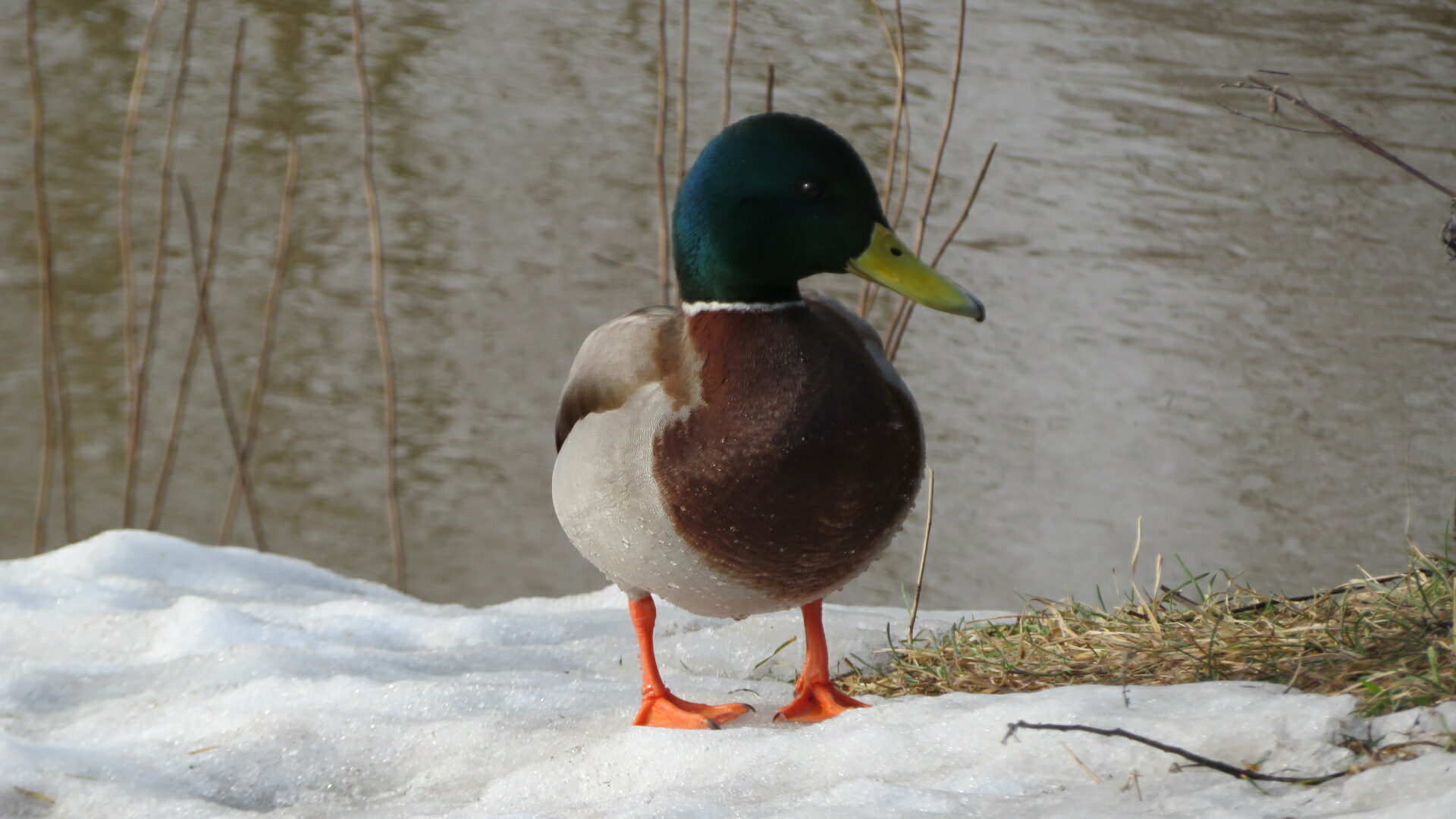 Valokuvaaja: Risto Kangassalo