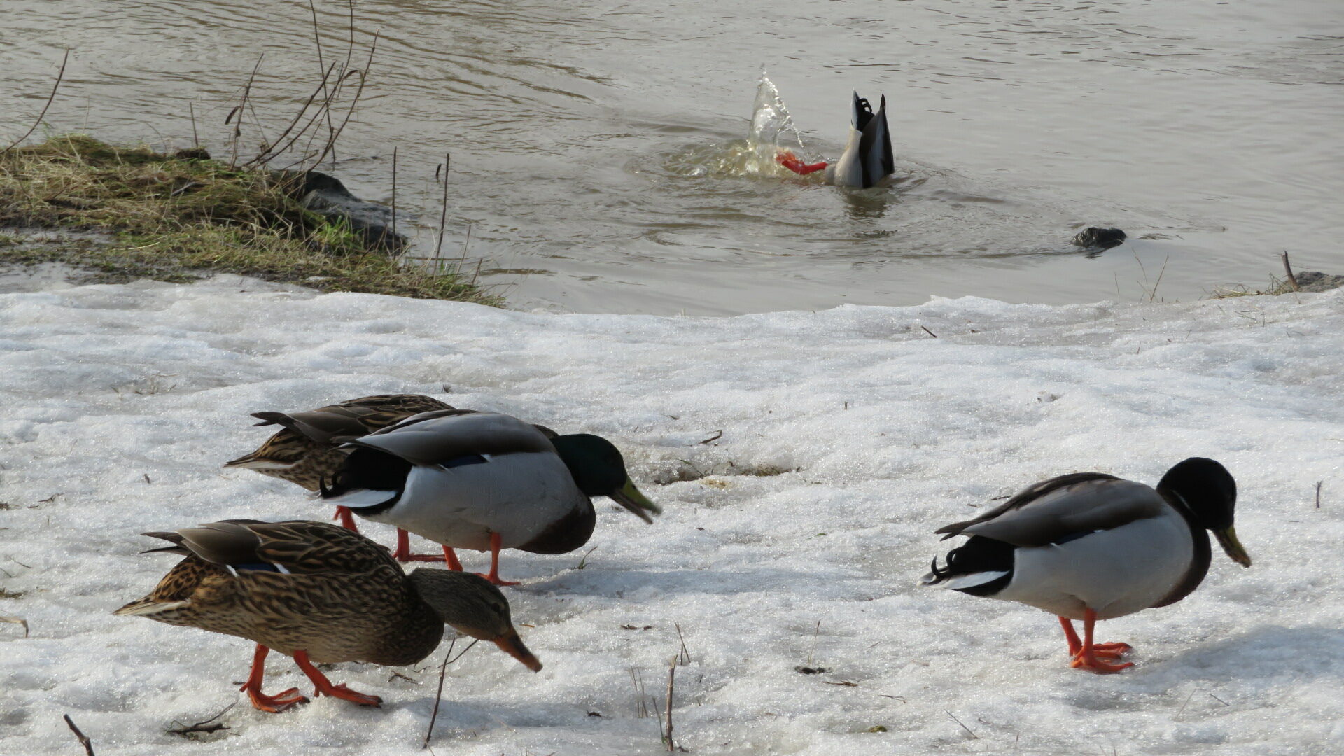 Valokuvaaja: Risto Kangassalo