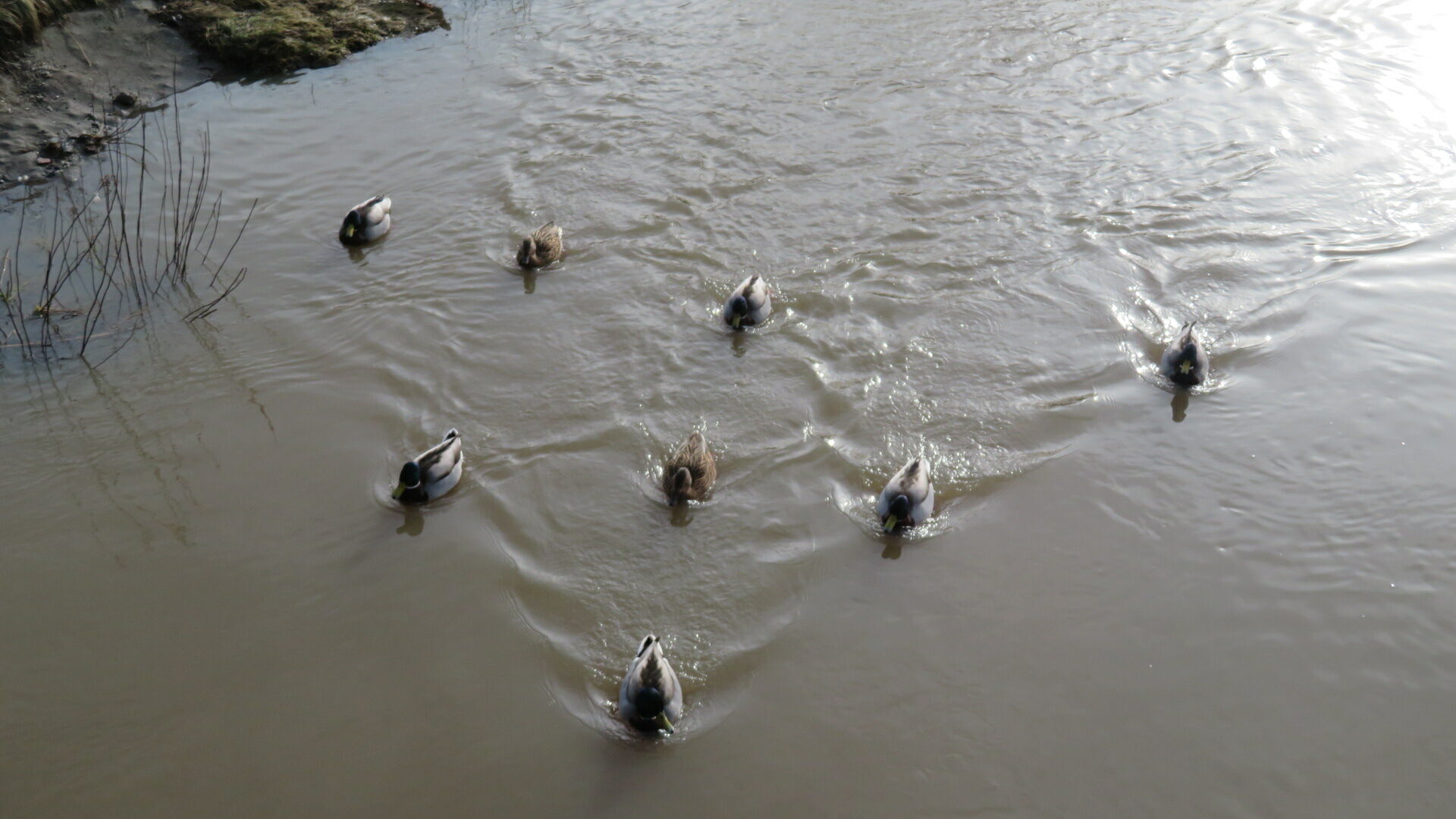 Valokuvaaja: Risto Kangassalo