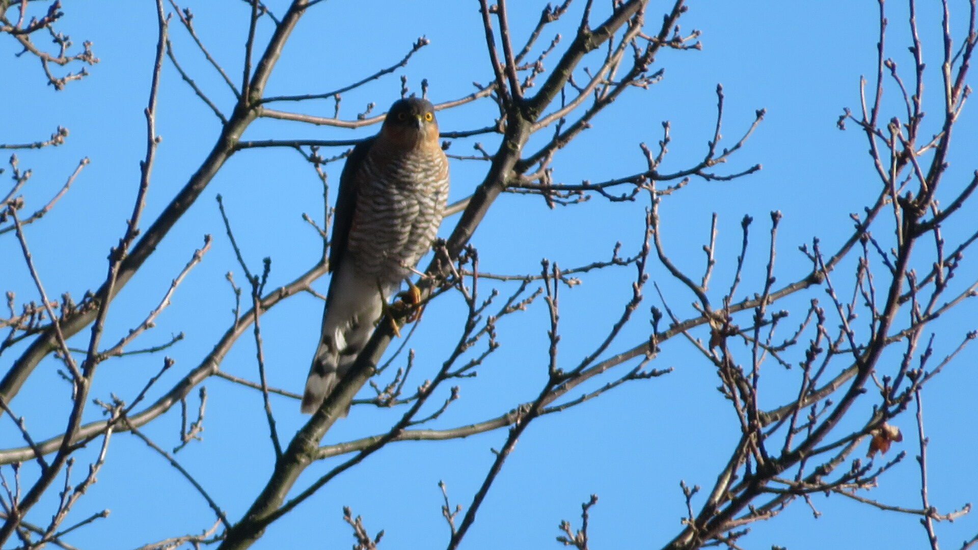 Valokuvaaja: Risto Kangassalo