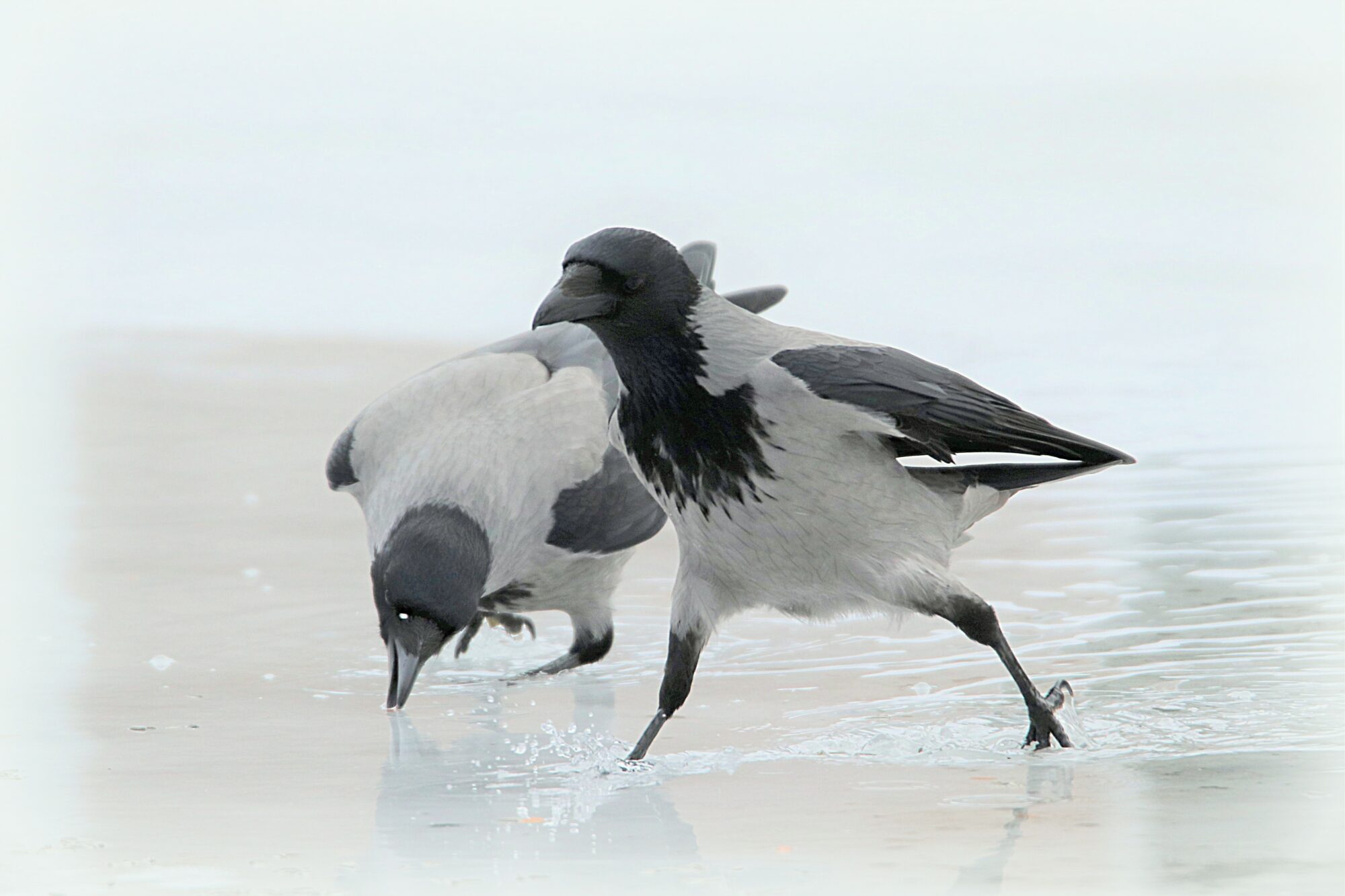 Valokuvaaja: Irja Lehtinen