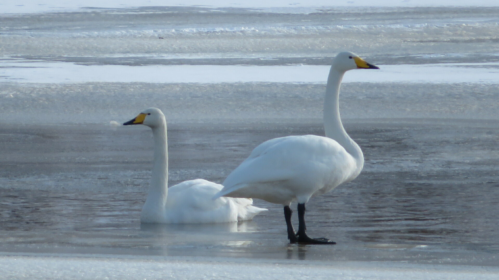 Valokuvaaja: Risto Kangassalo