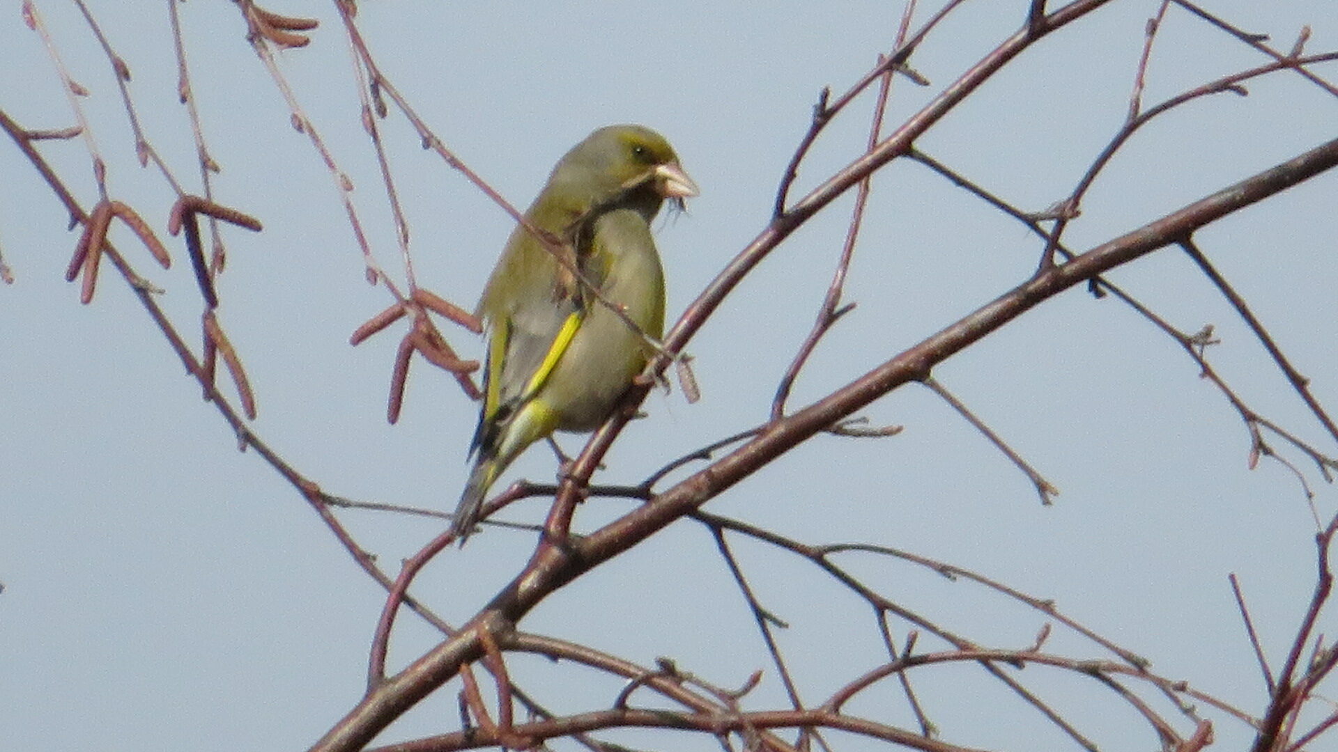 Valokuvaaja: Risto Kangassalo