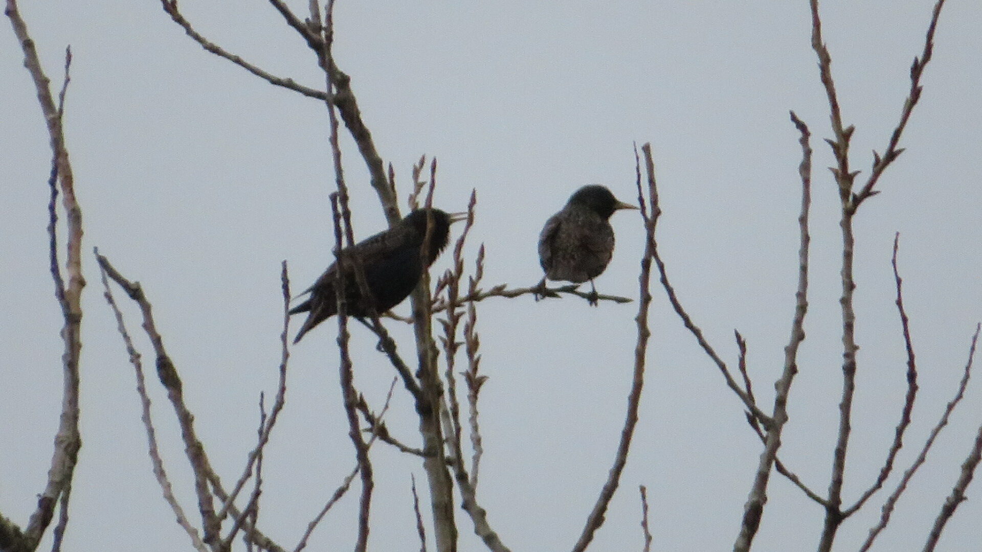 Valokuvaaja: Risto Kangassalo