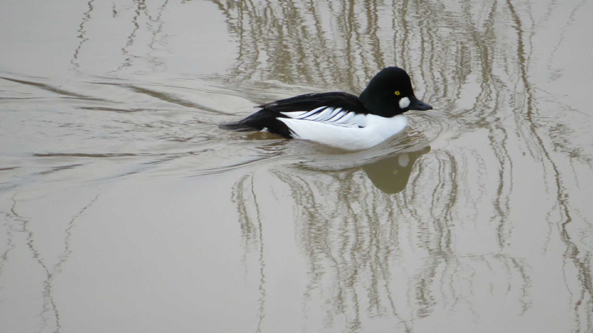 Valokuvaaja: Risto Kangassalo