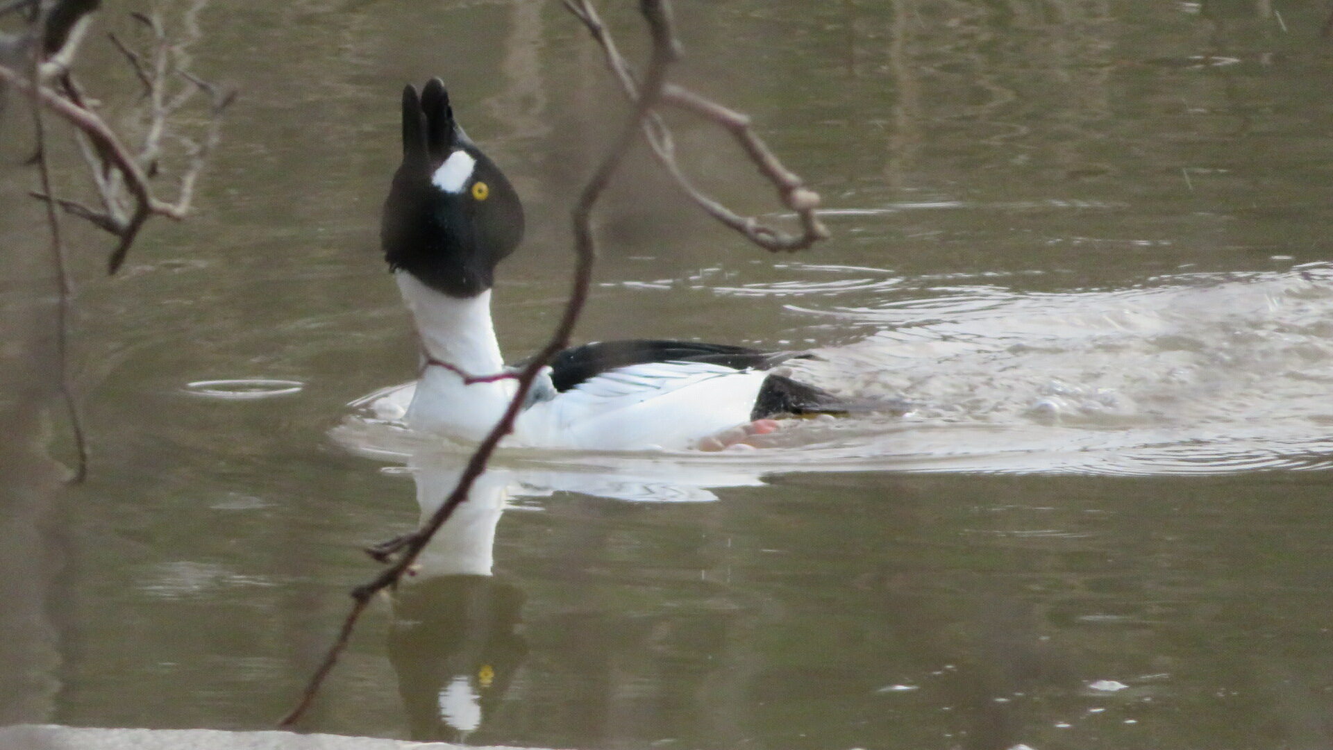 Valokuvaaja: Risto Kangassalo