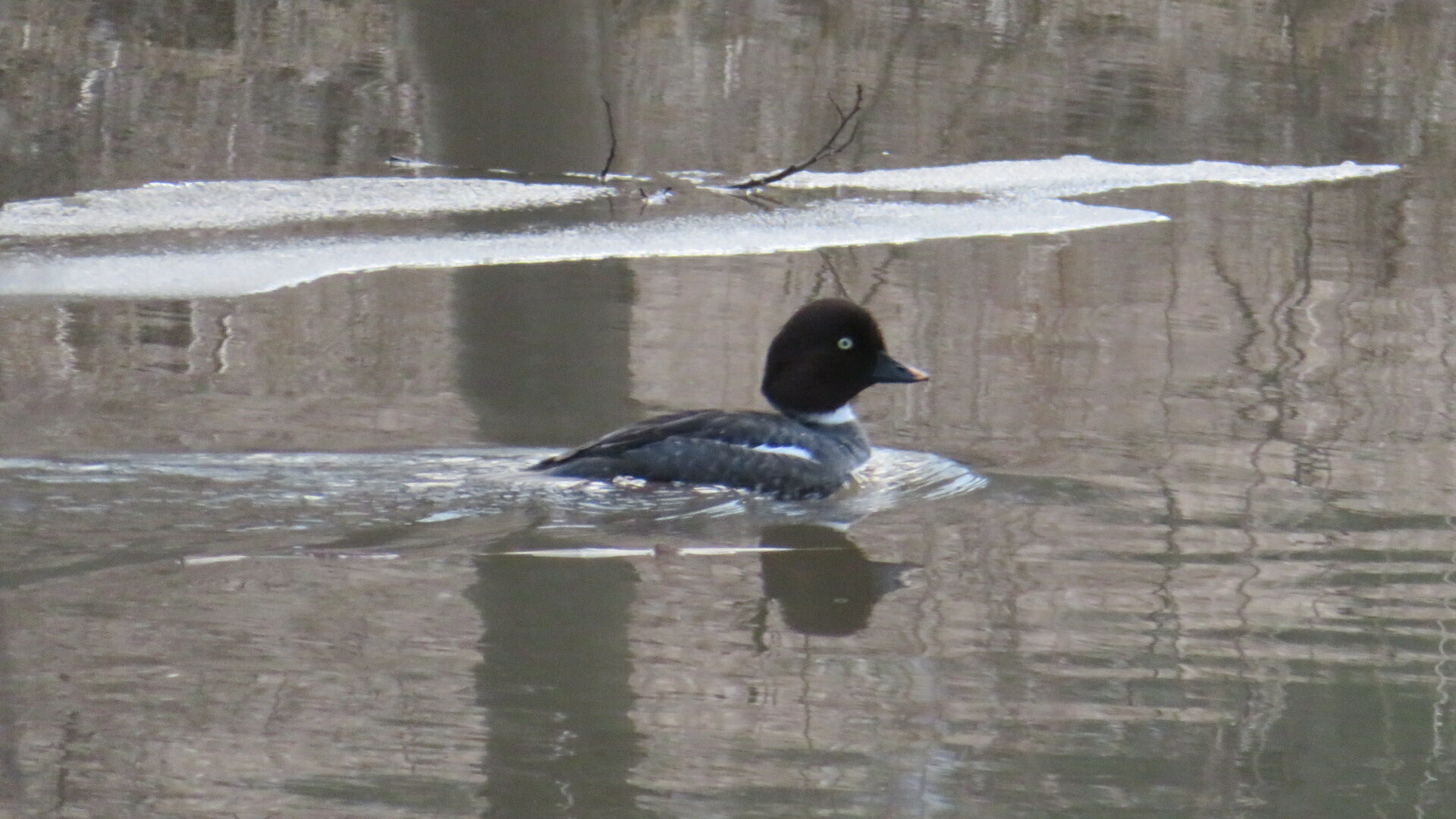 Valokuvaaja: Risto Kangassalo