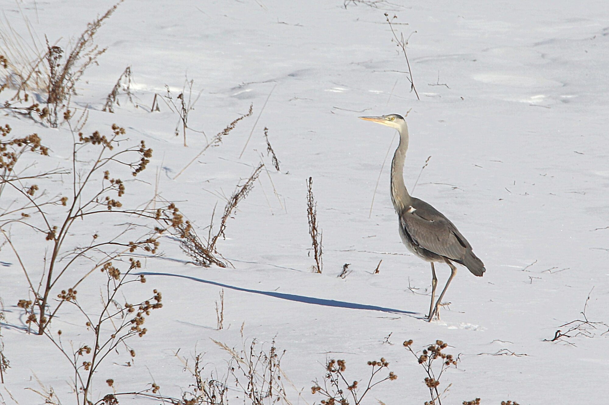 Valokuvaaja: Irja Lehtinen