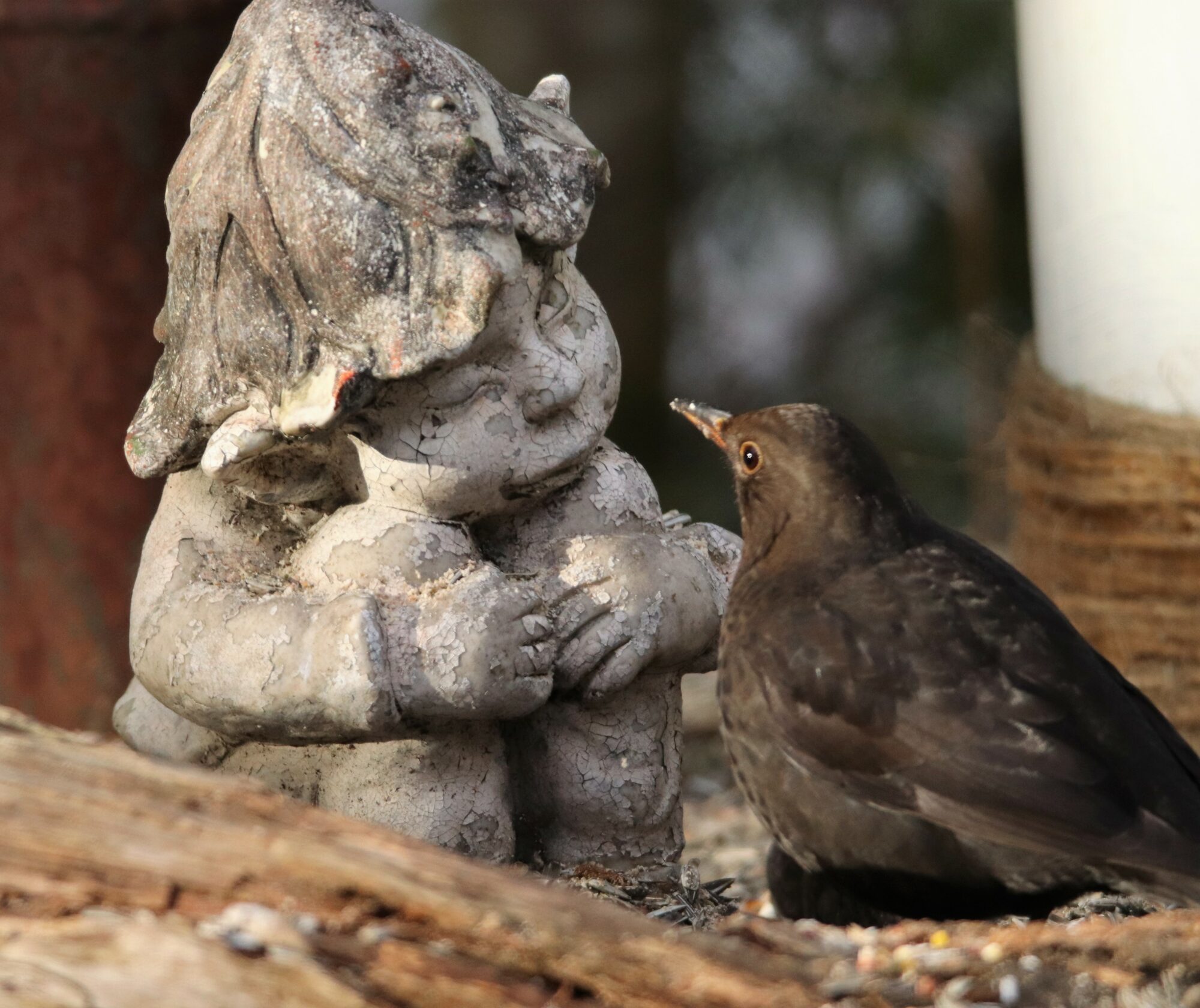 Valokuvaaja: Irja Lehtinen