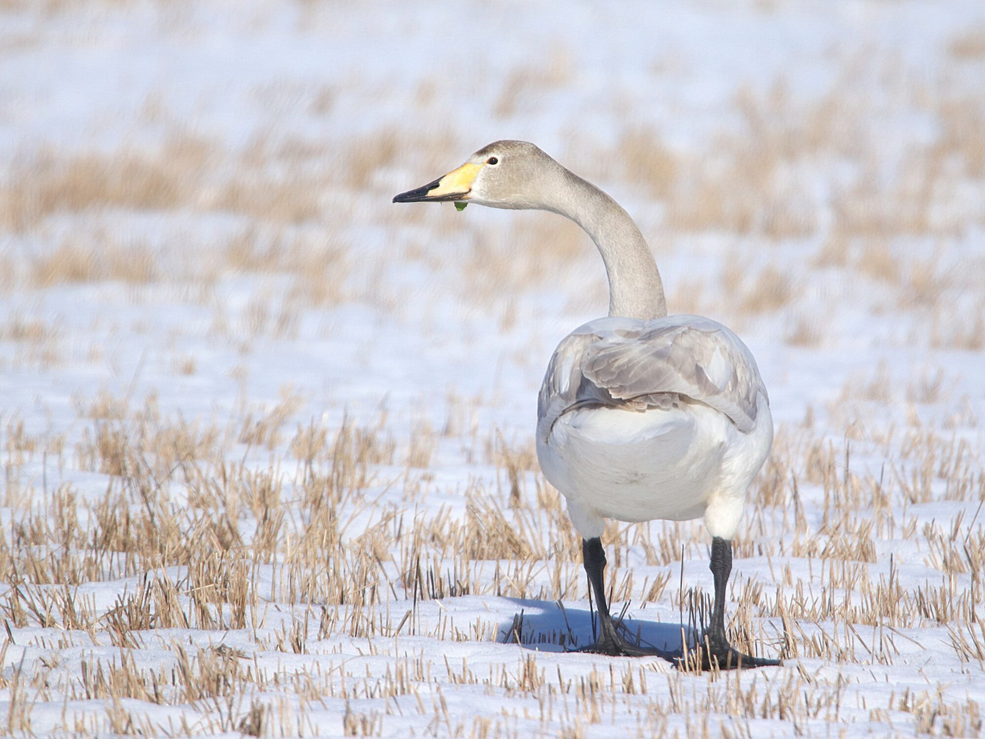 Valokuvaaja: Irja Lehtinen