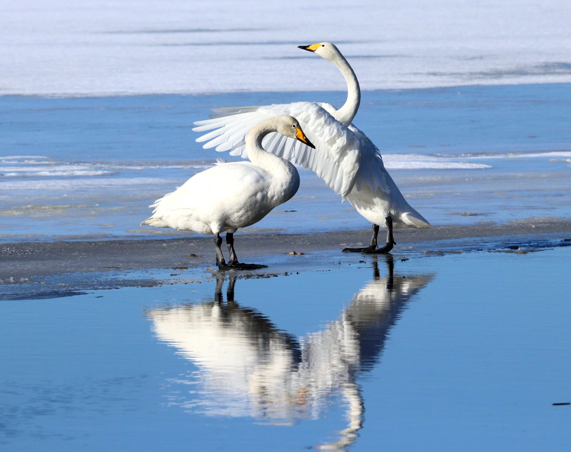 Valokuvaaja: Irja Lehtinen