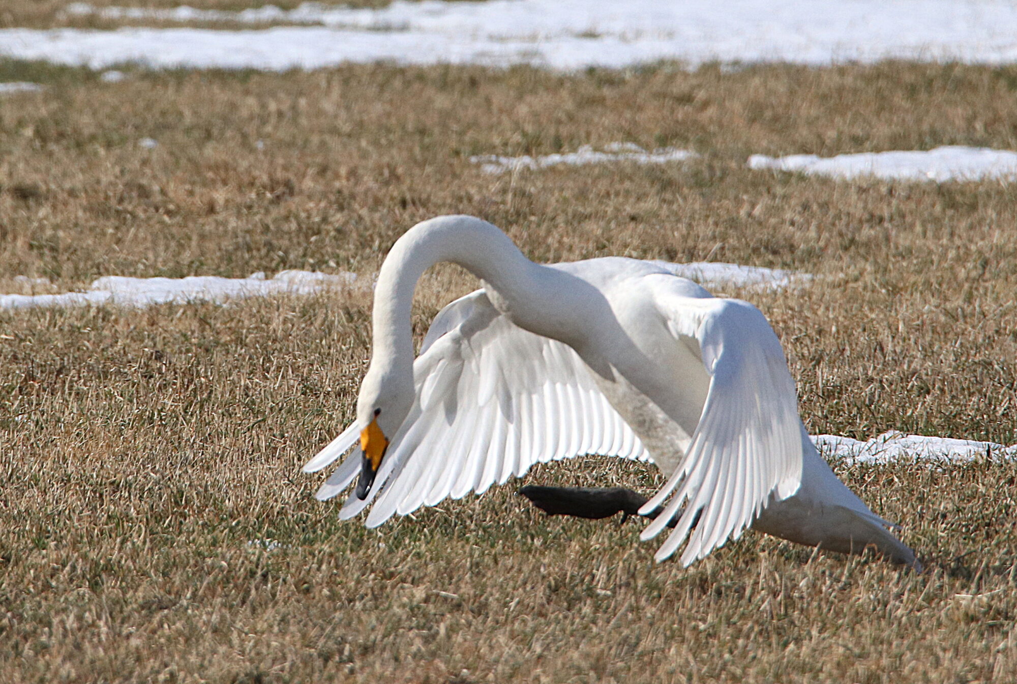 Valokuvaaja: Irja Lehtinen