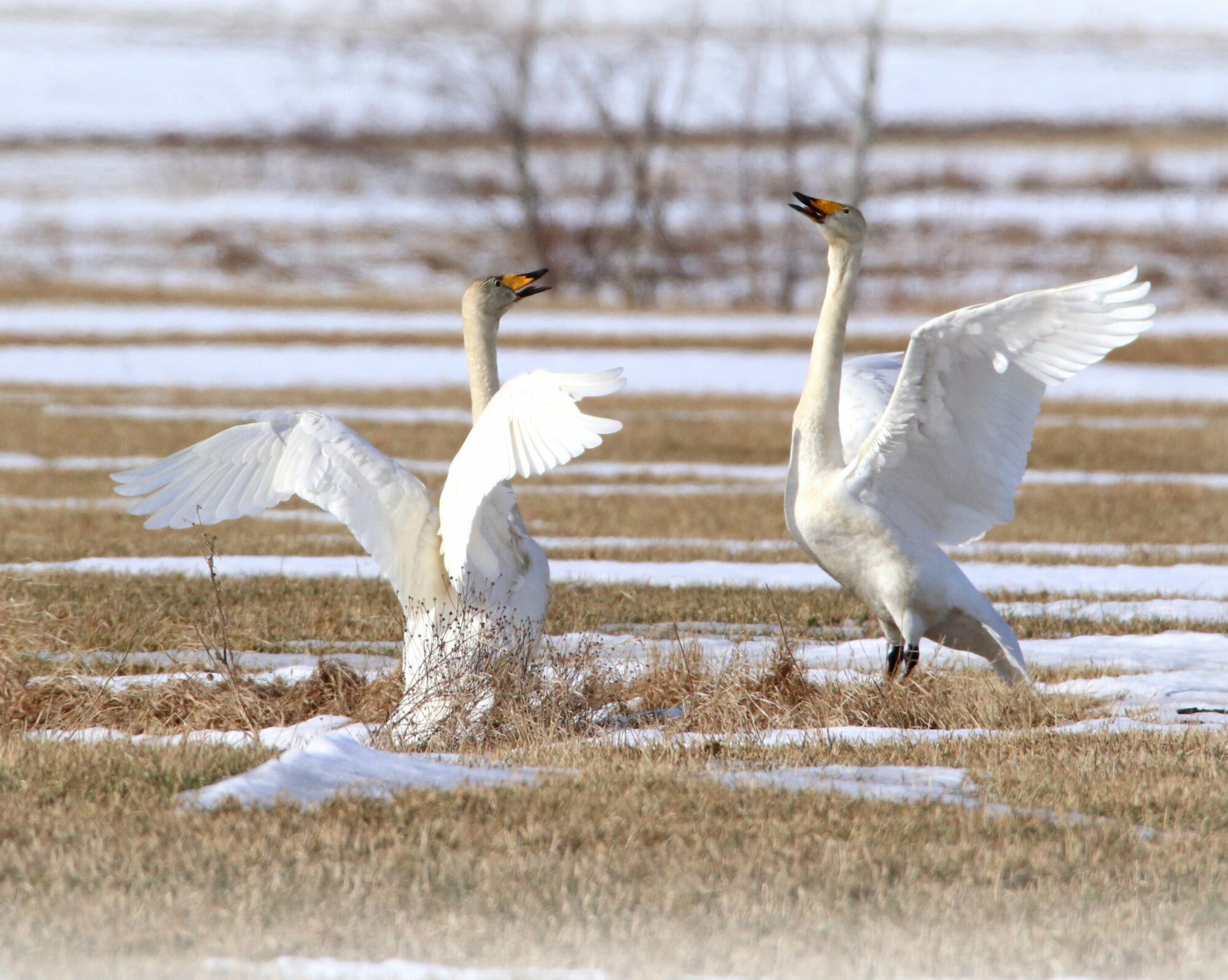 Valokuvaaja: Irja Lehtinen