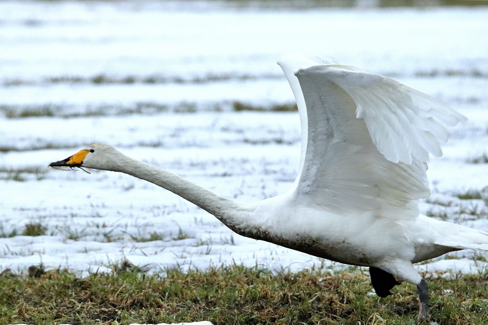 Valokuvaaja: Irja Lehtinen