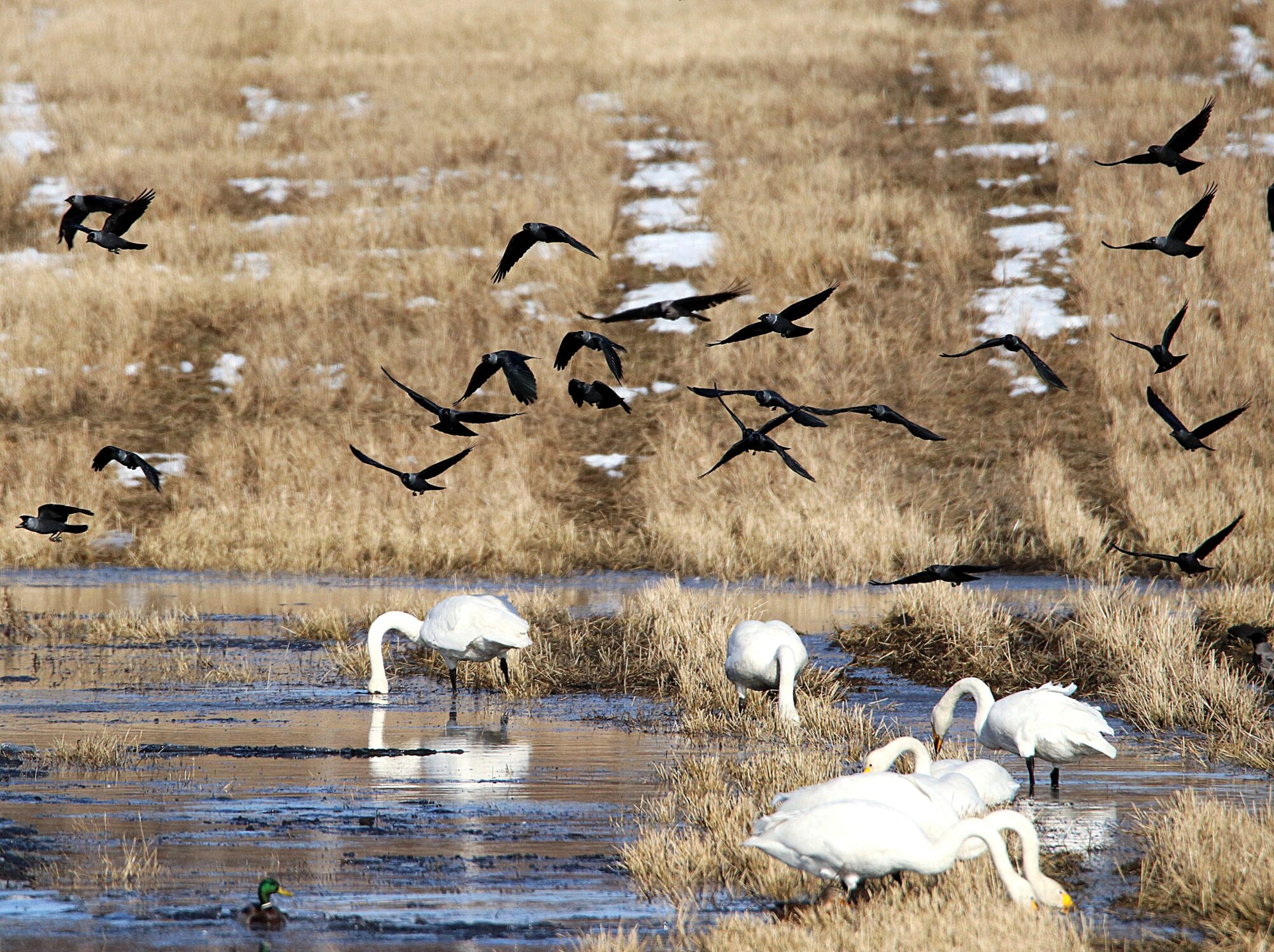 Valokuvaaja: Irja Lehtinen