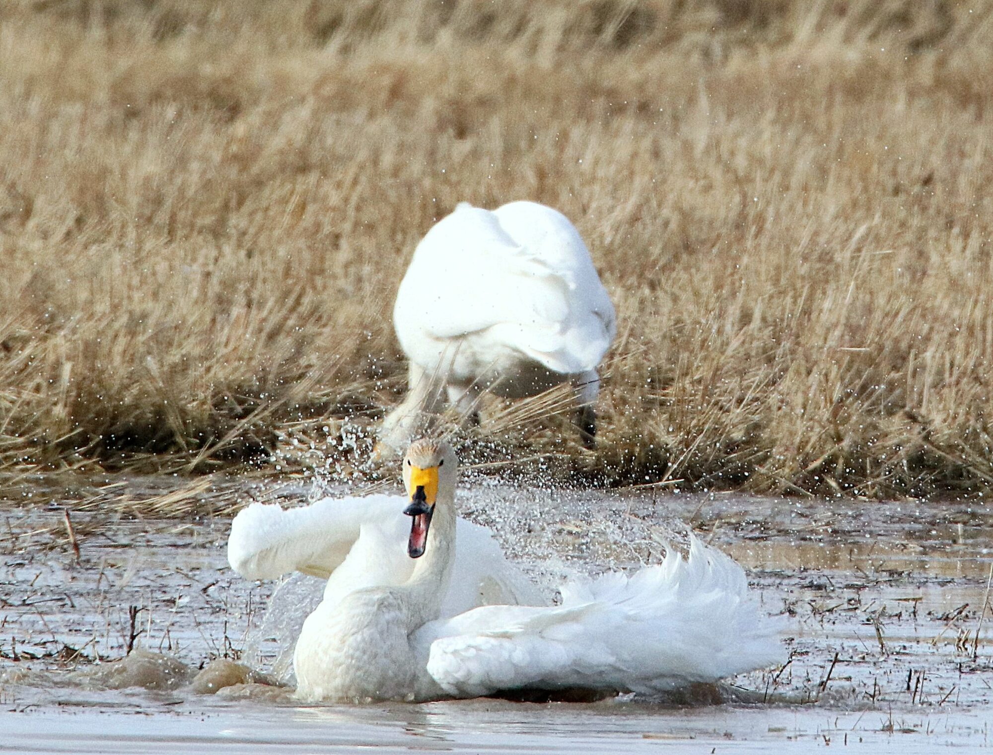 Valokuvaaja: Irja Lehtinen