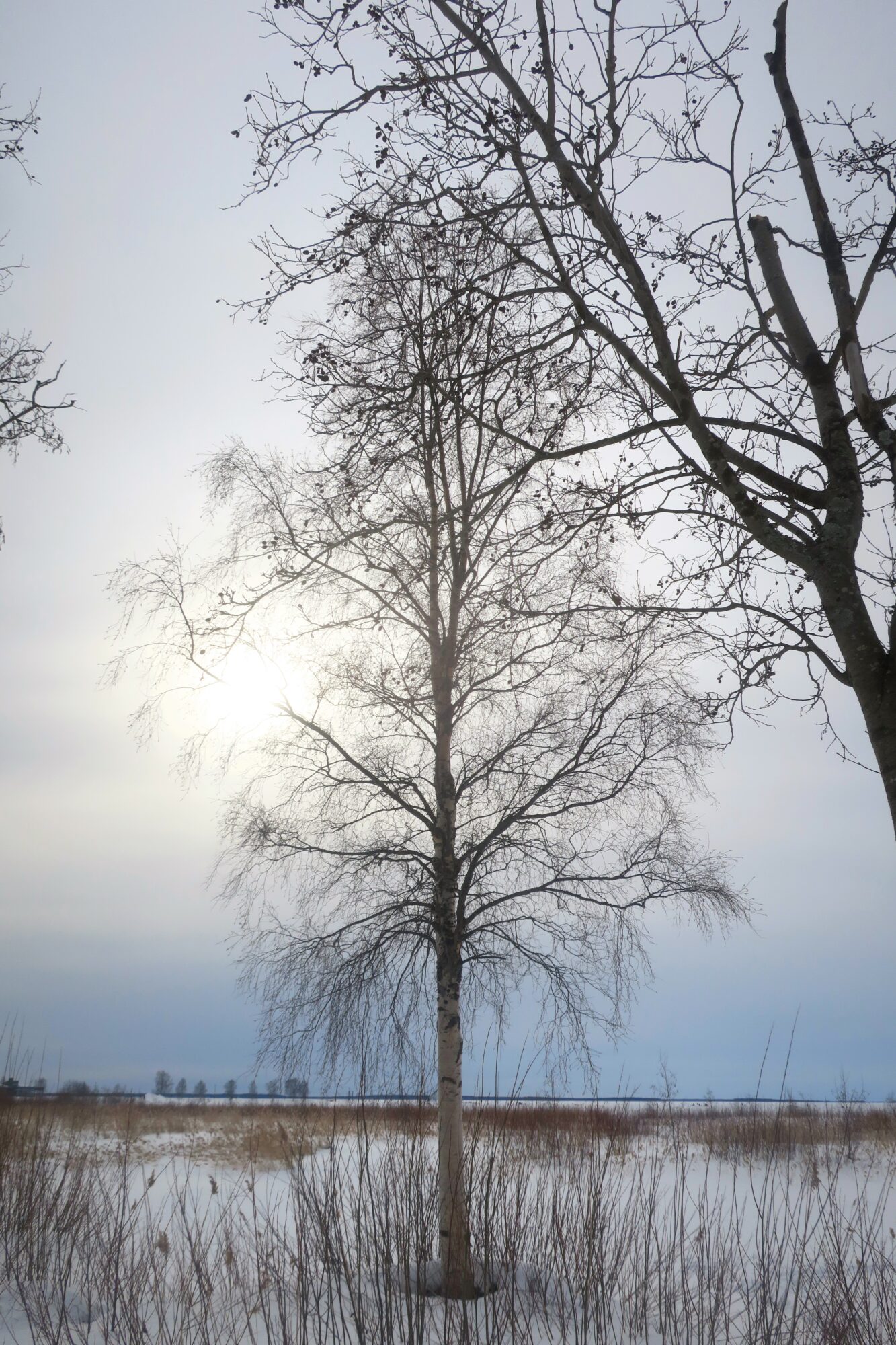 Valokuvaaja: Tuulia Ristikari