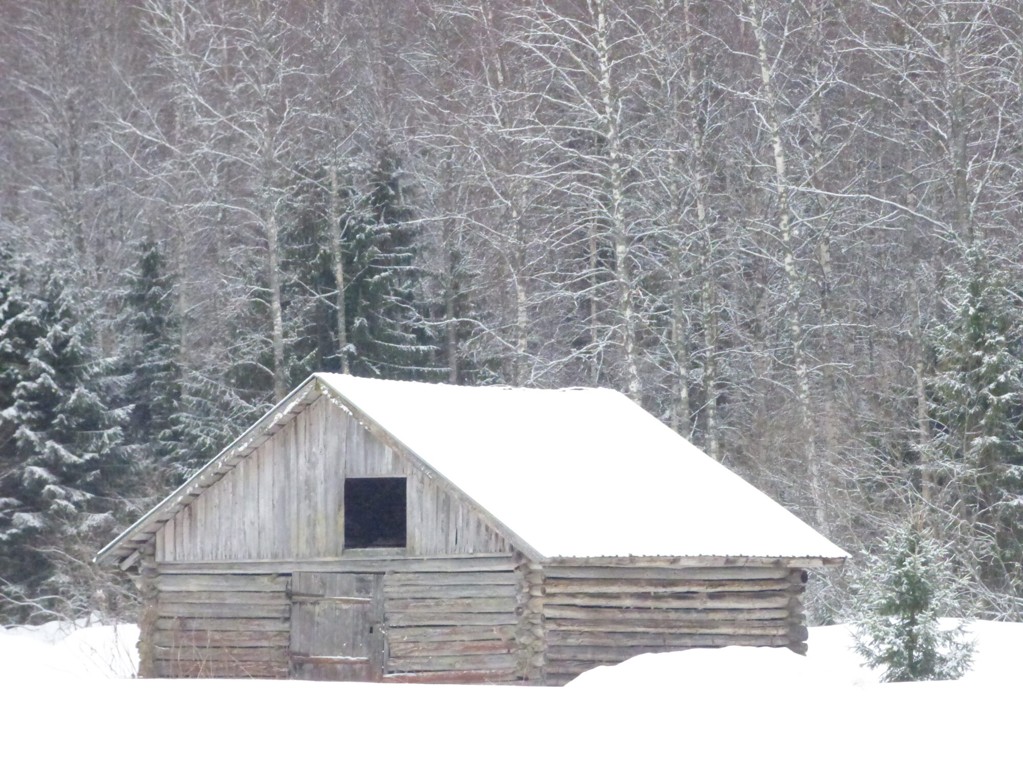 Valokuvaaja: Hannu Rissanen