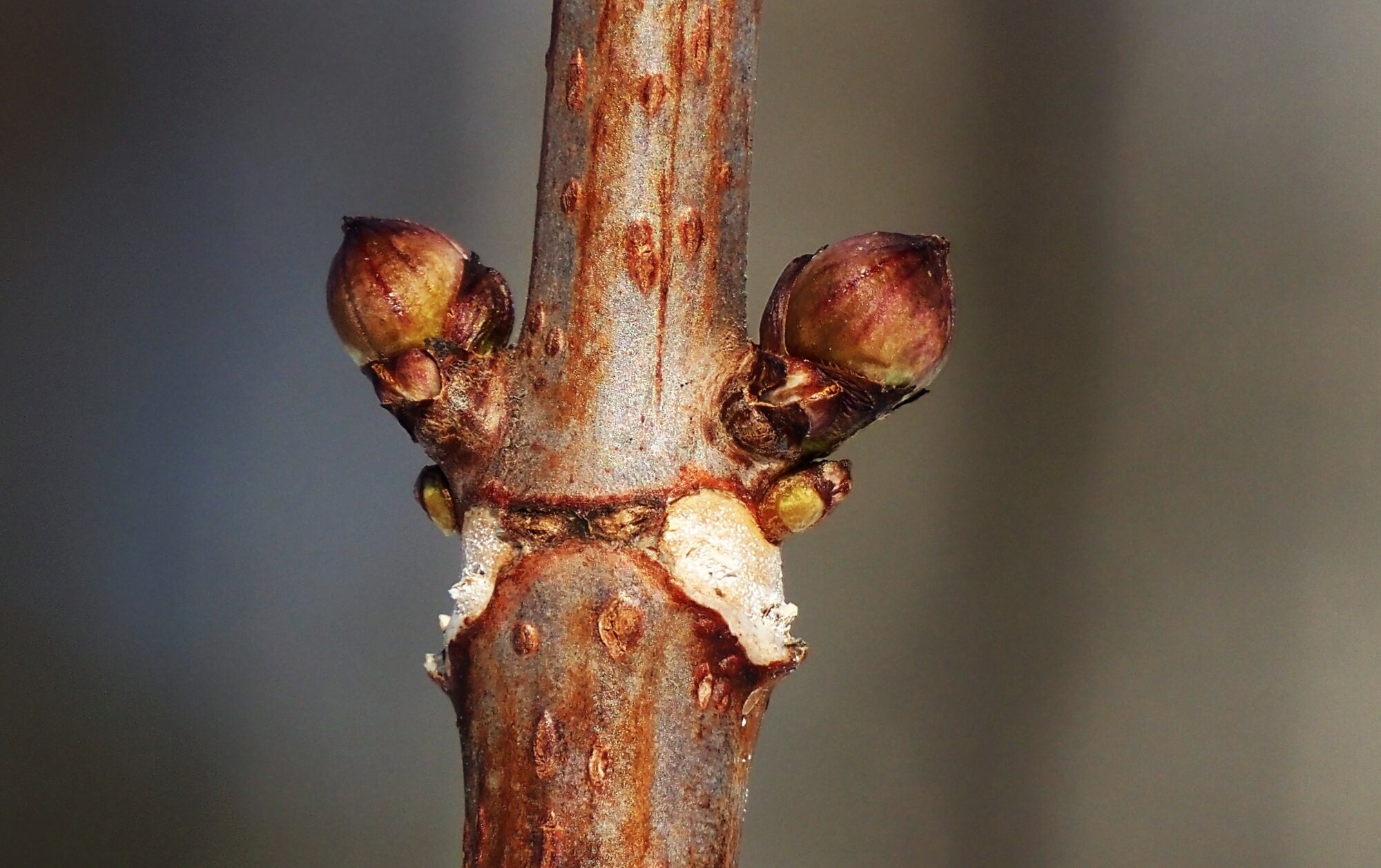 Valokuvaaja: Arja Valtonen Valokuvaaja: Arja Valtonen