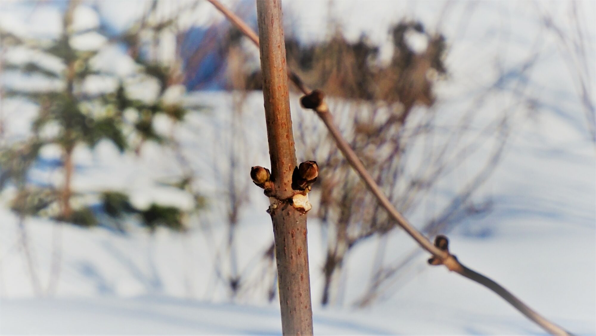 Valokuvaaja: Arja Valtonen