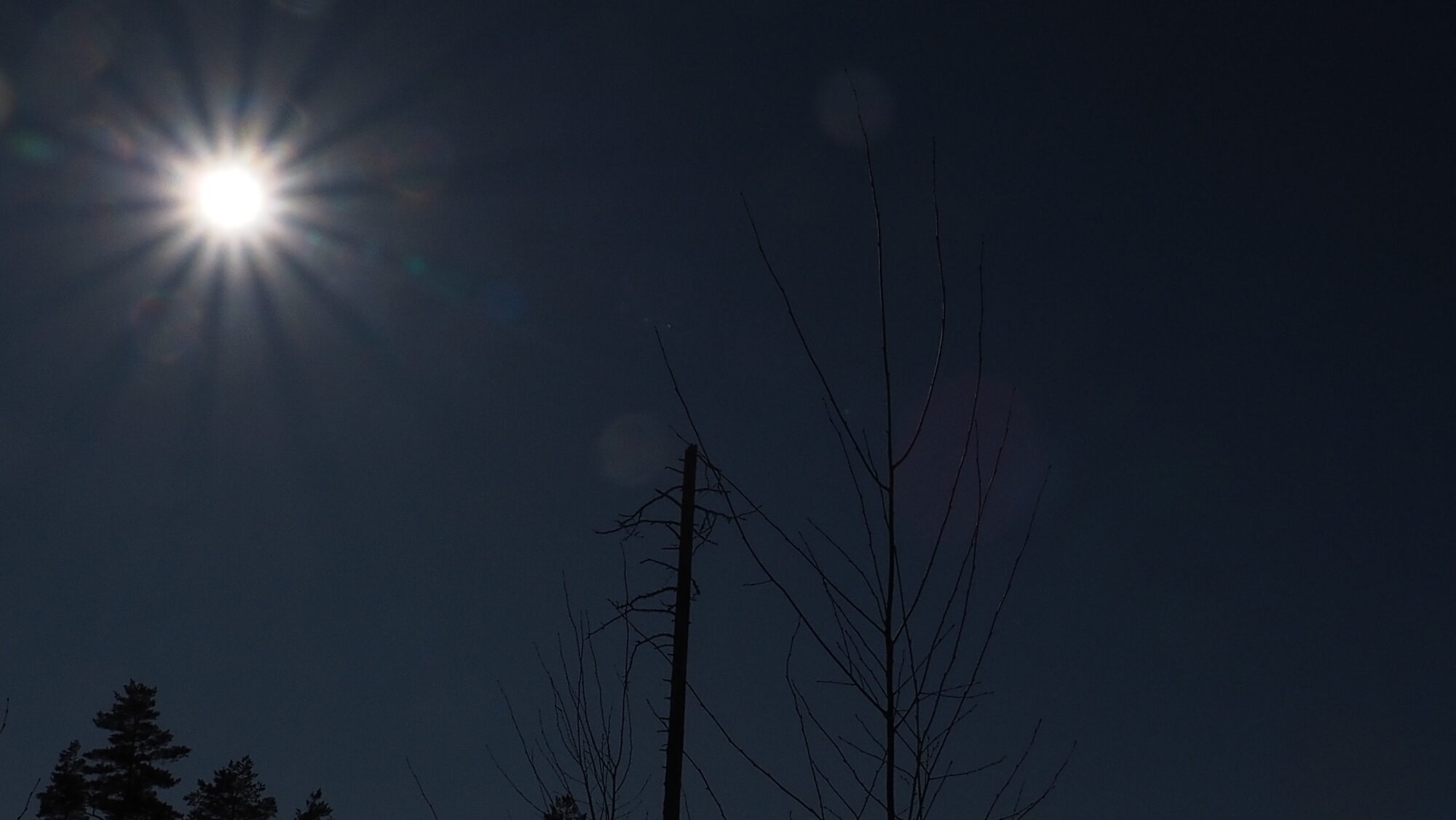 Valokuvaaja: Arja Valtonen