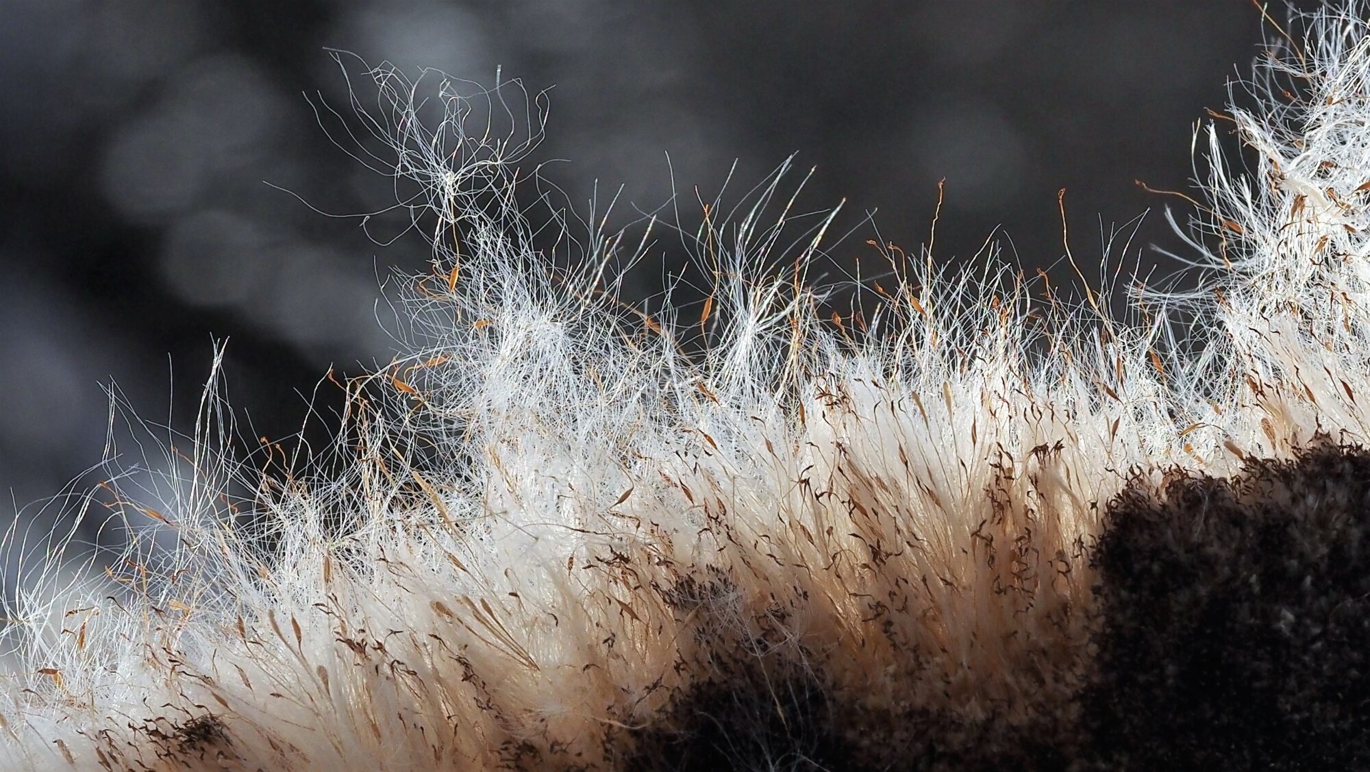 Valokuvaaja: Arja Valtonen