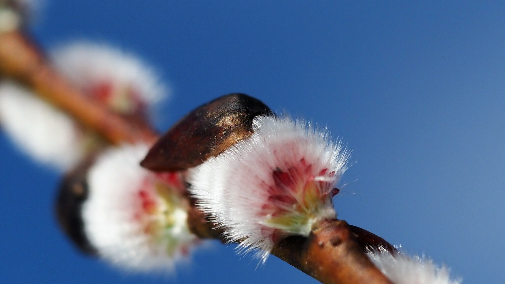 Valokuvaaja: Arja Valtonen
