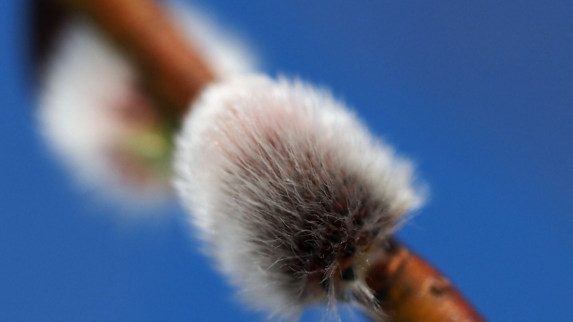 Valokuvaaja: Arja Valtonen