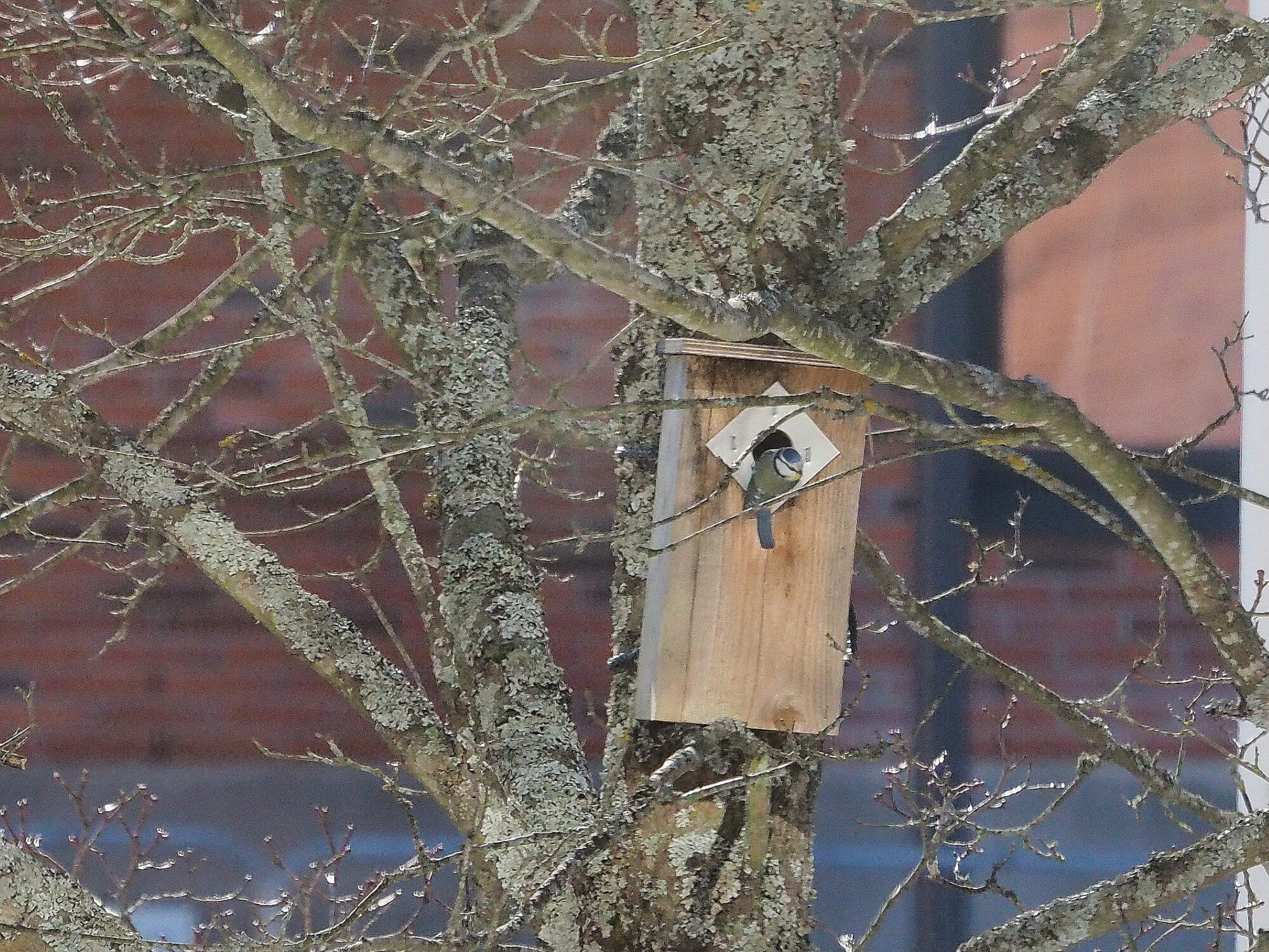 Valokuvaaja: Martti Valtonen