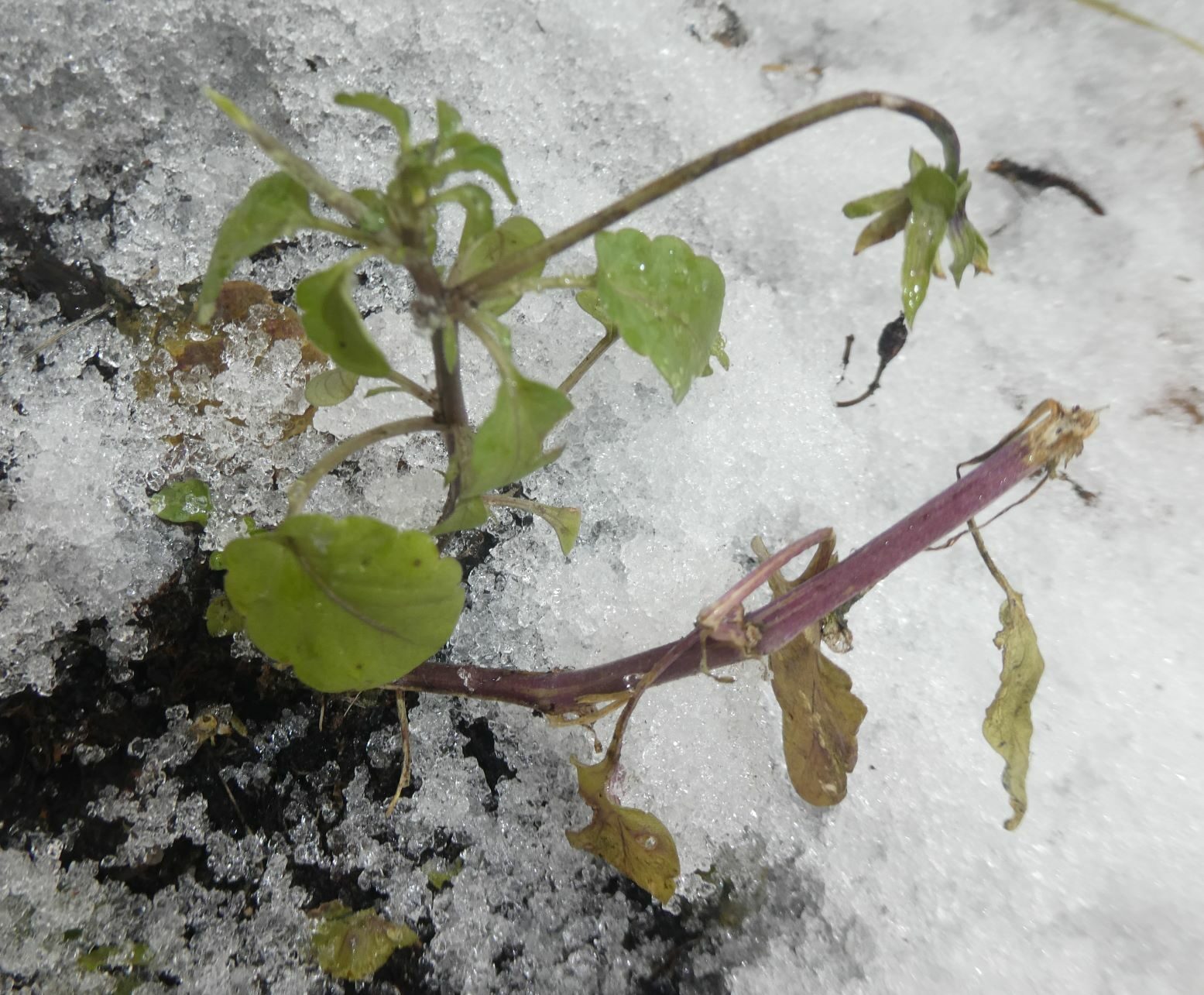 Valokuvaaja: Risto Kauppinen