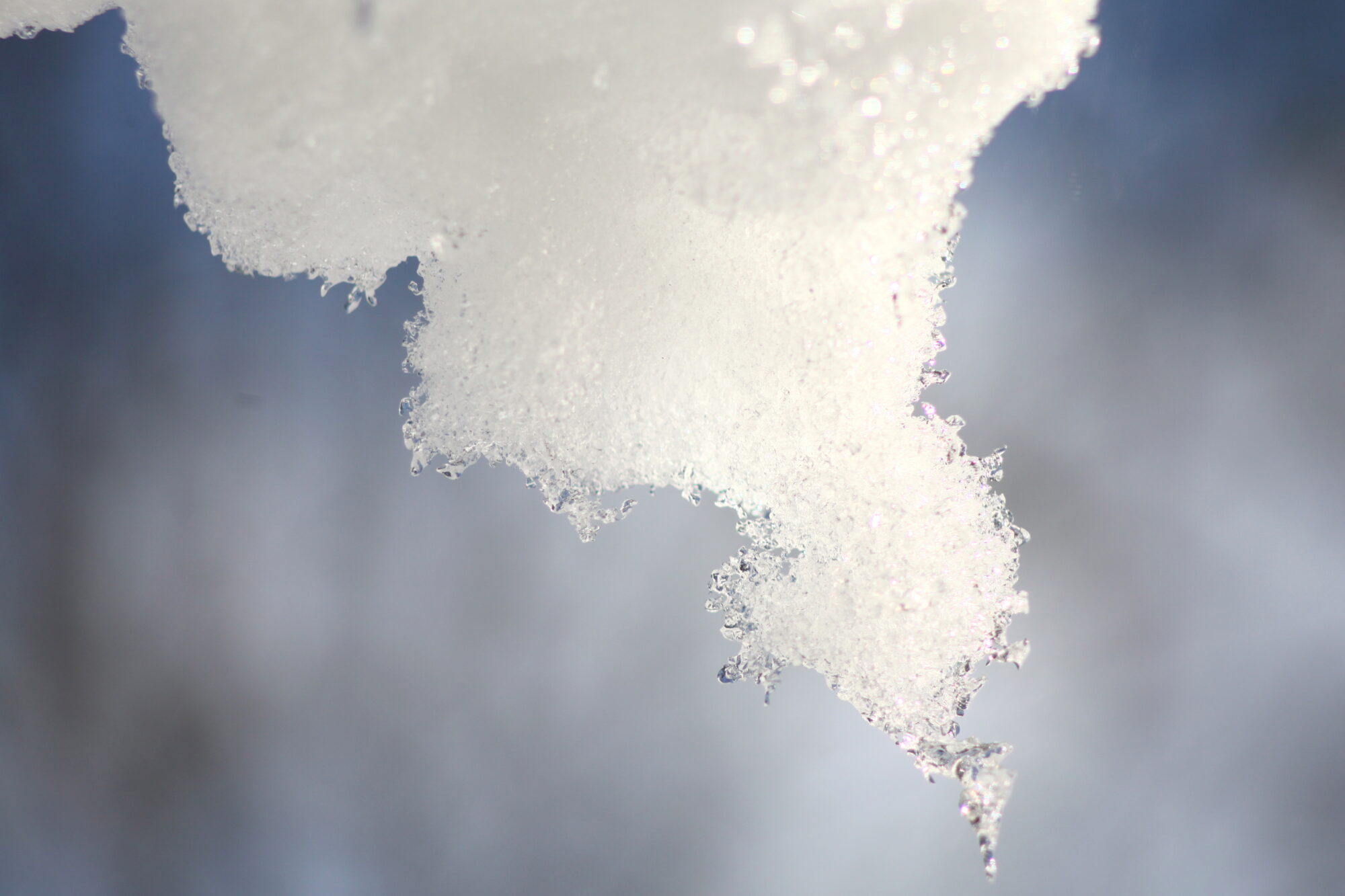 Valokuvaaja: Kaarlo Asikainen