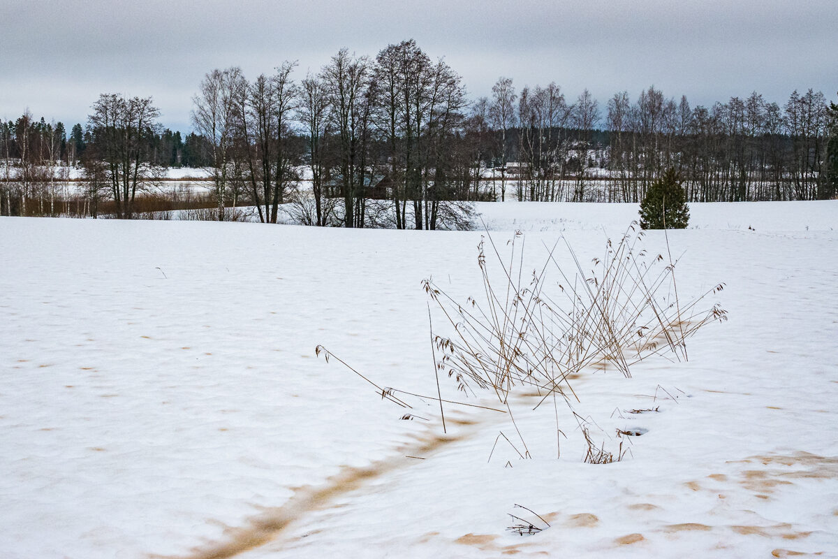 Valokuvaaja: Ari Kaarakainen Valokuvaaja: Ari Kaarakainen