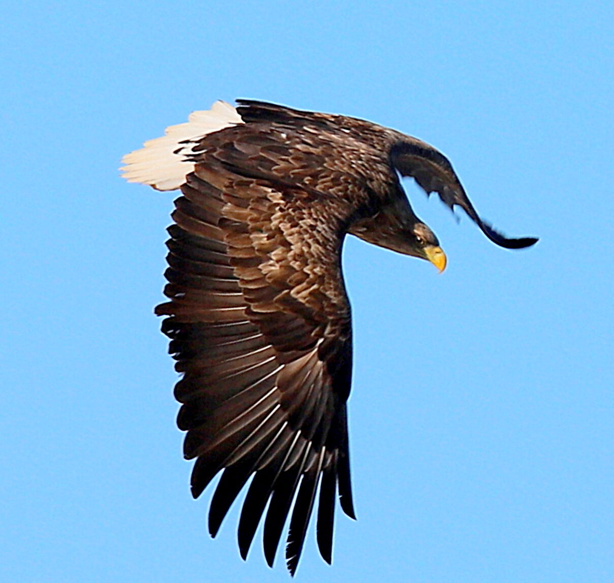 Valokuvaaja: sirpa jyske