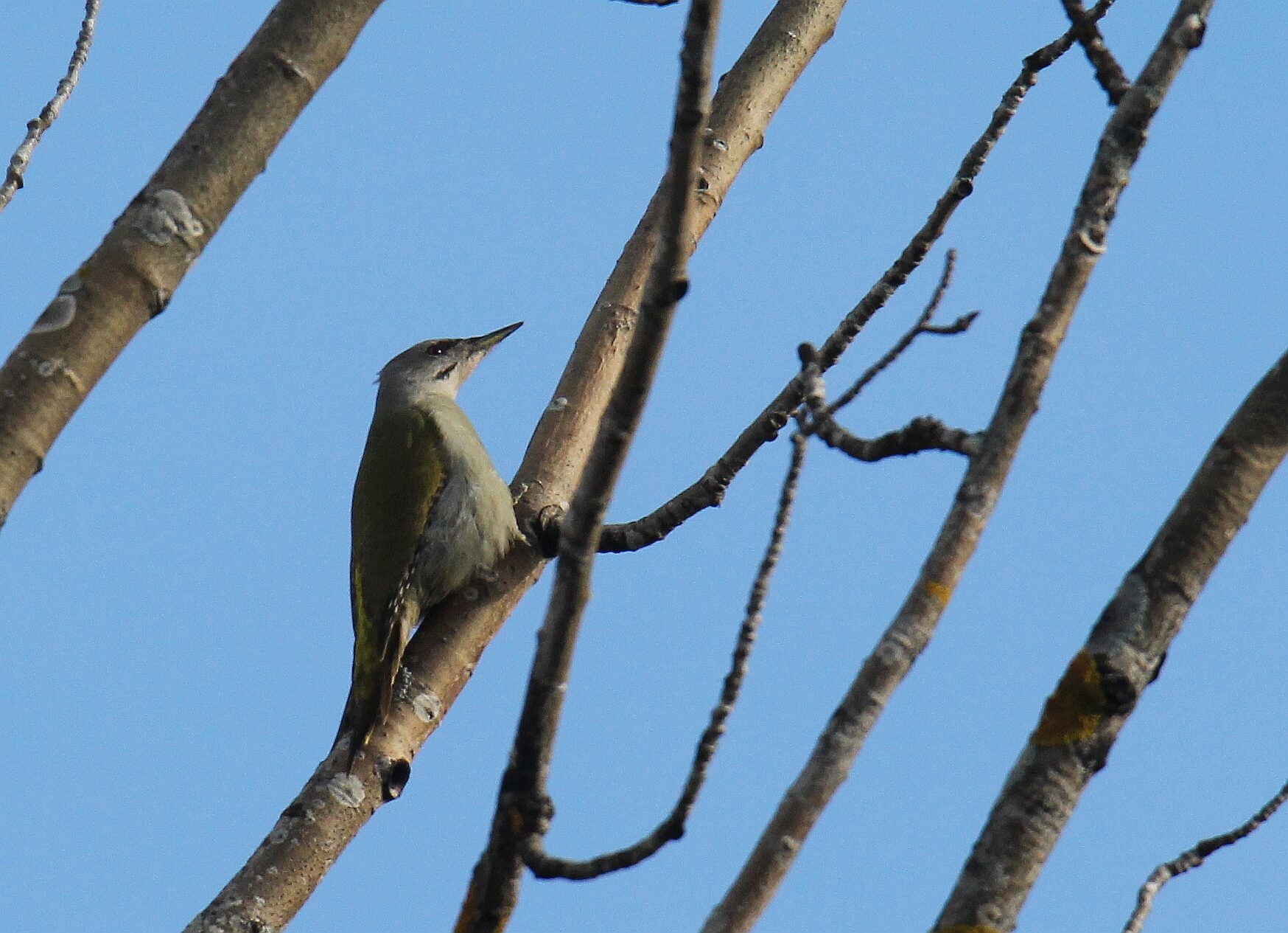 Valokuvaaja: Jaana Saarelainen