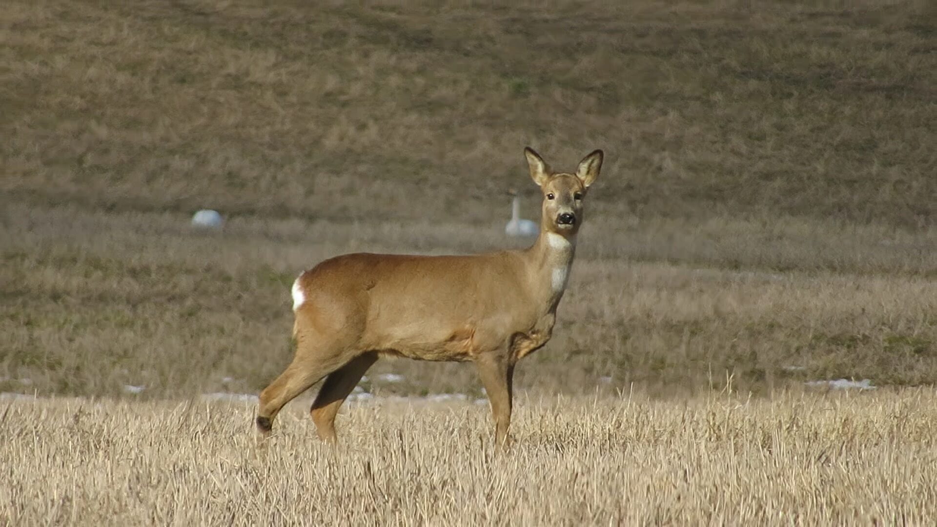 Valokuvaaja: Mari Ahtola