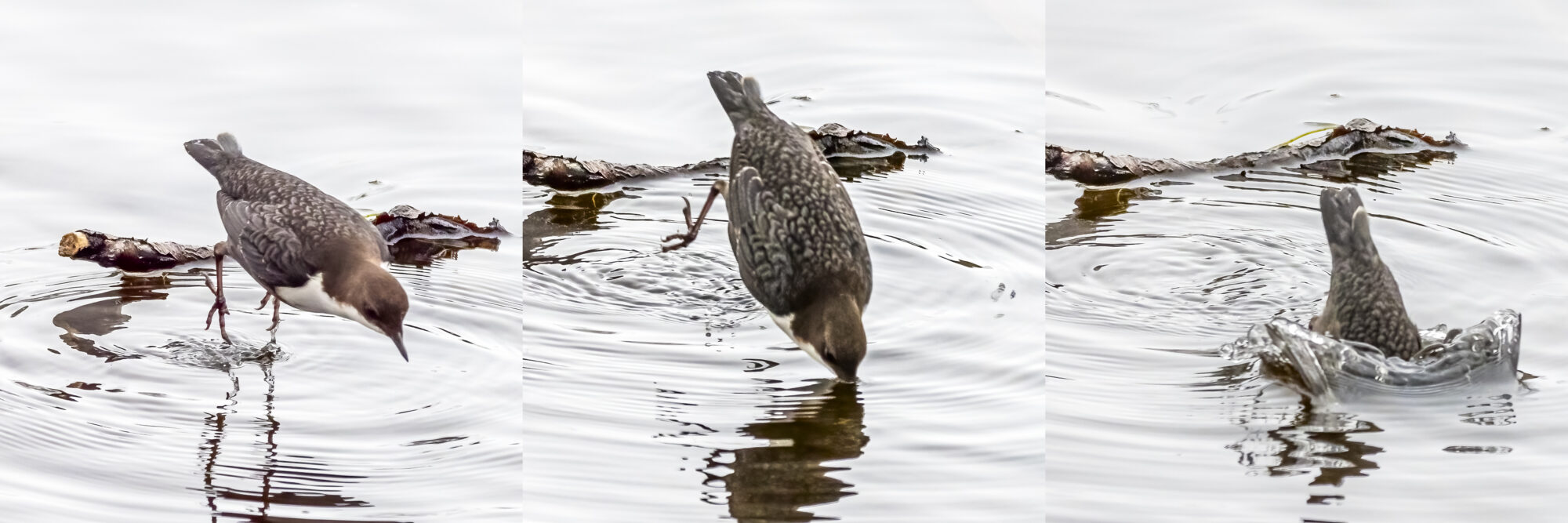 Valokuvaaja: Jukka Luoma