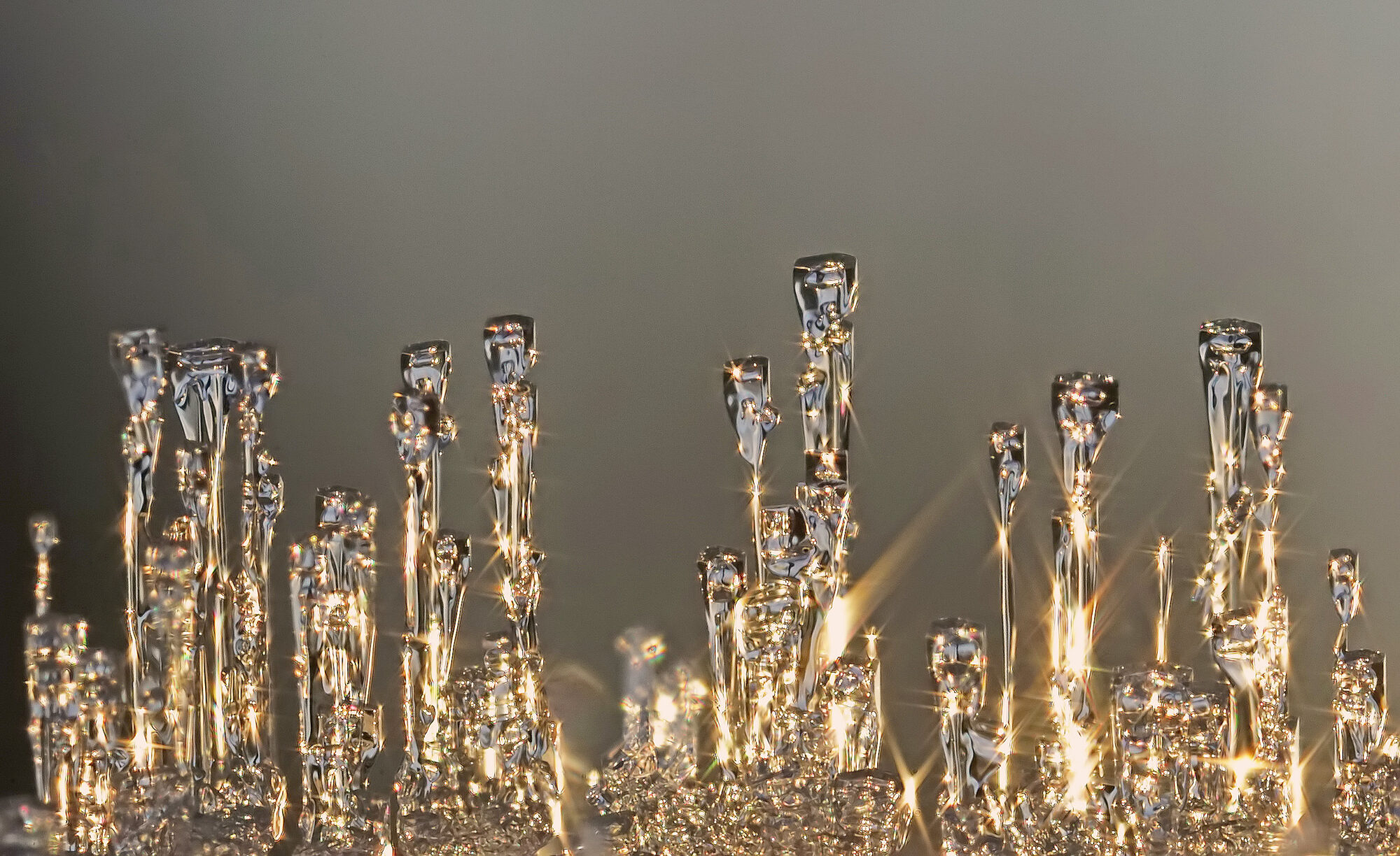 Valokuvaaja: Juhani Harkas