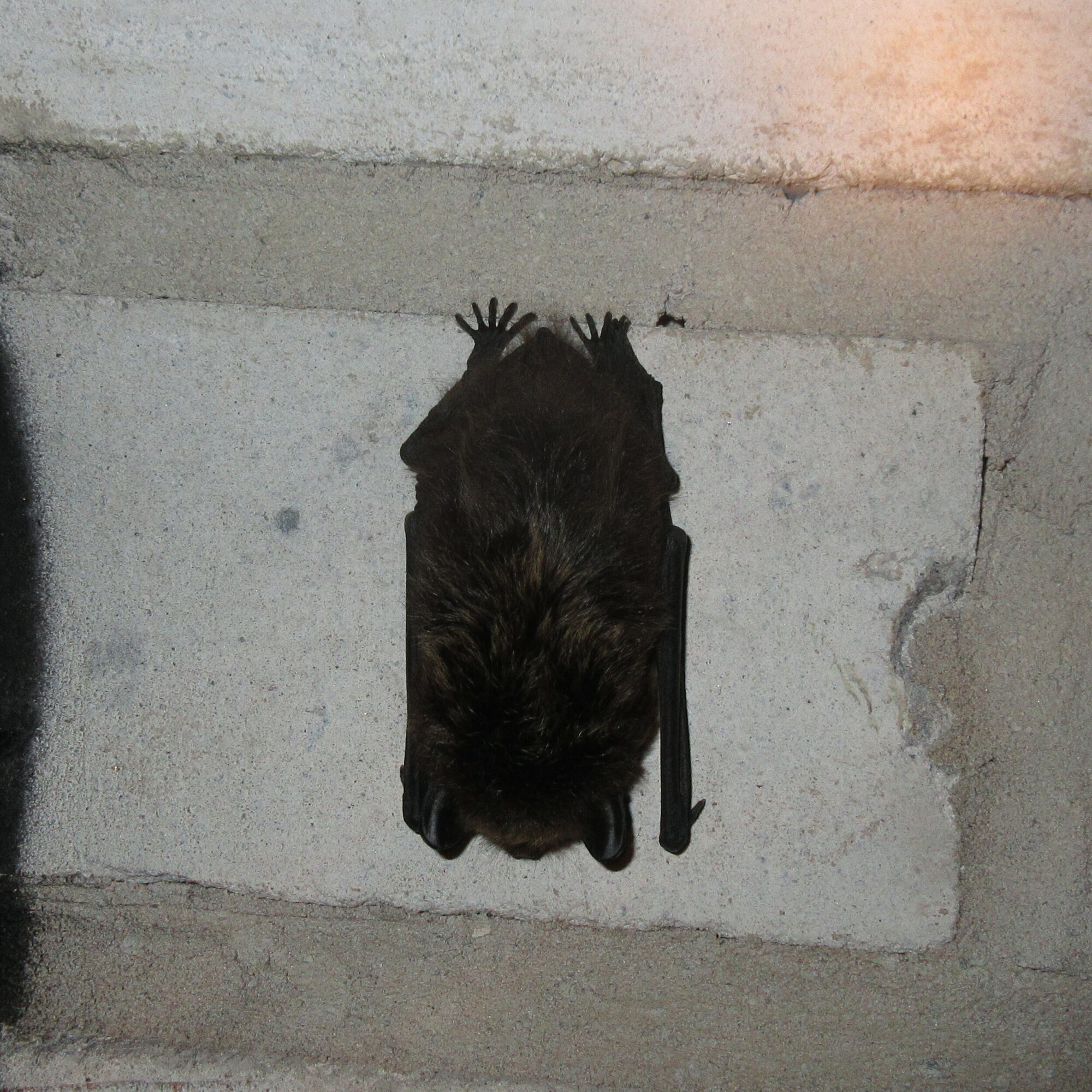 Valokuvaaja: Jouni Uski