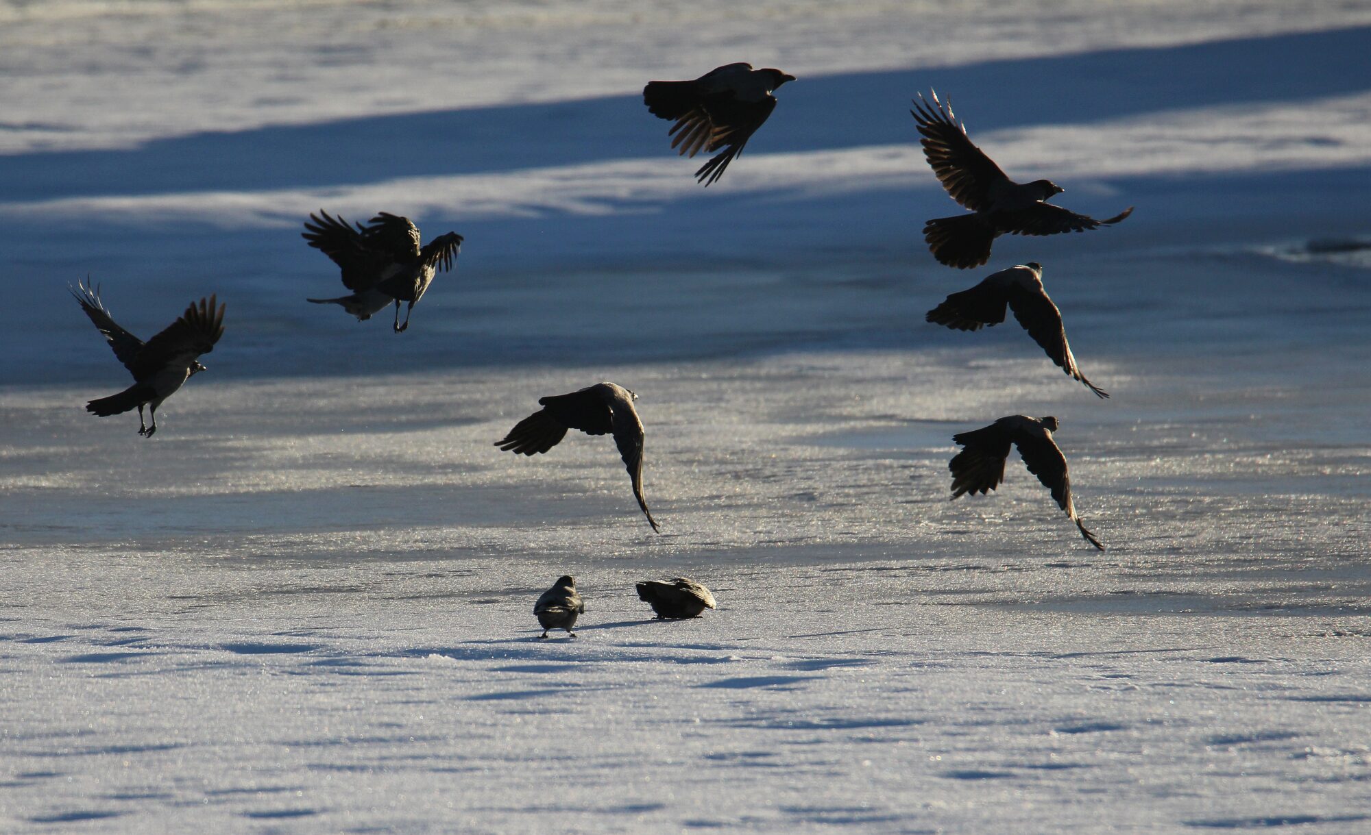 Valokuvaaja: Jaana Saarelainen
