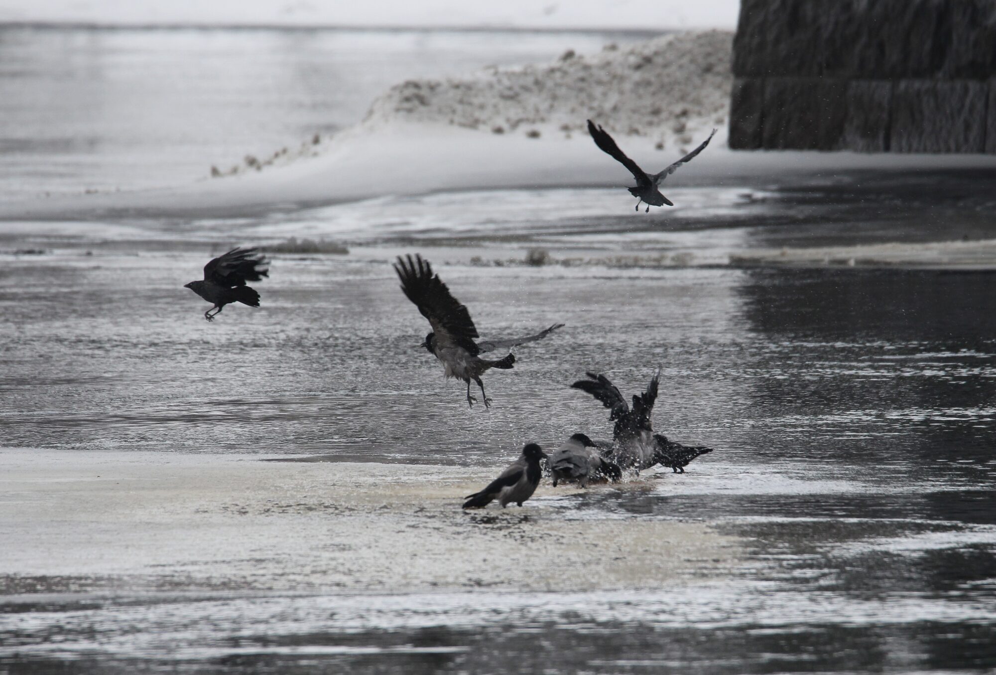Valokuvaaja: Jaana Saarelainen