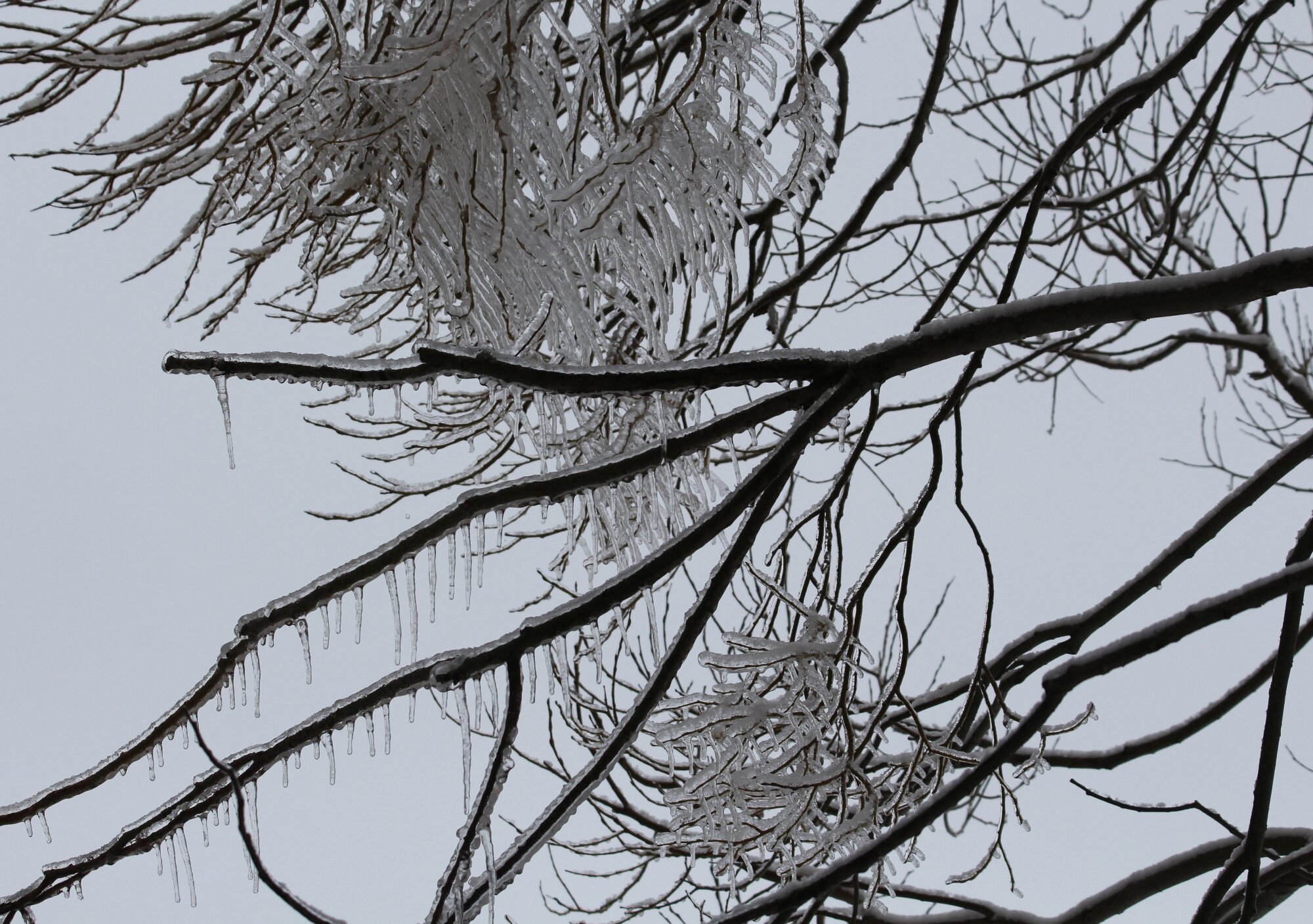 Valokuvaaja: Jaana Saarelainen