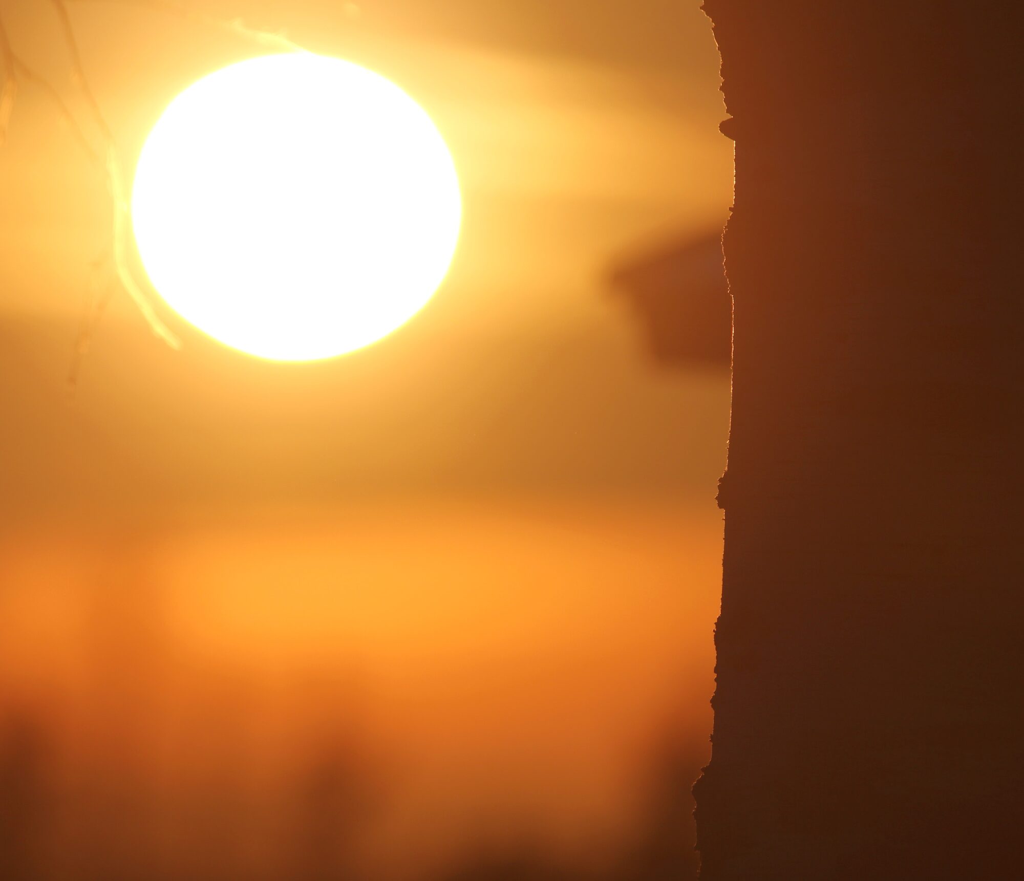 Valokuvaaja: Jaana Saarelainen